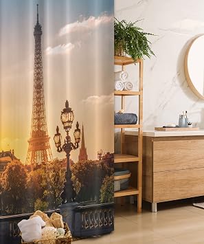 Ambesonne Scenery Stall Shower Curtain, Streets View on Alexandre Bridge Against Eiffel Tower in Paris, France Print, Fabric Bathroom Decor Set with Hooks, 36" W x 72" L, Multicolor