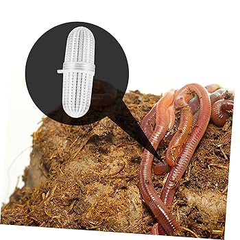 Amazon | COOLHIYA 10個螺纹饵料 蚯蚓飼 ボックス 機 な 成