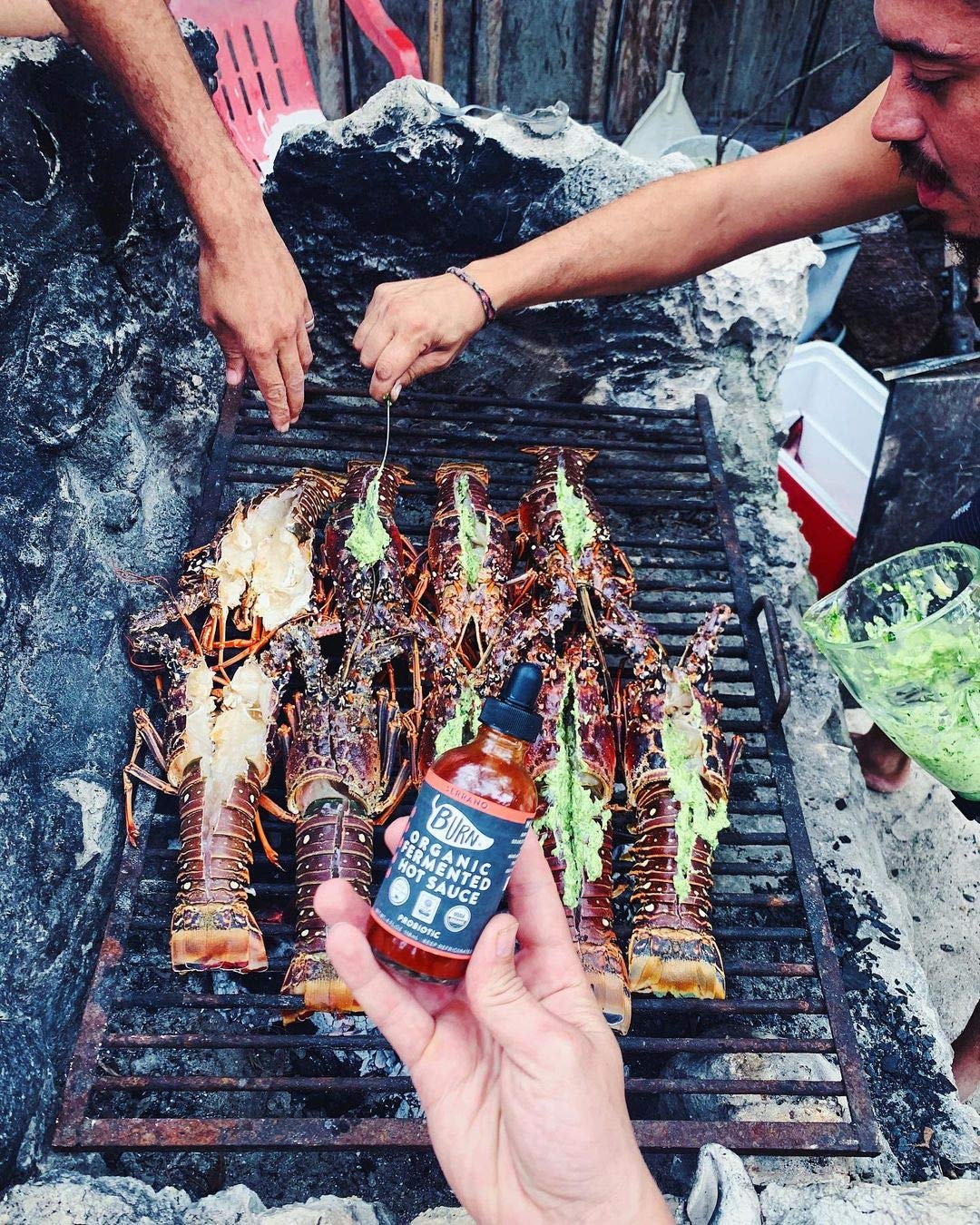 BURN Hot Sauce - Thai-Bird Jalapeño (The Original Aged Organic Probiotic Vegan Hot Sauce, Preservative & Gluten Free made with Organic Fermented Chili Peppers and Sea Salt, 4 fl oz.) image 4