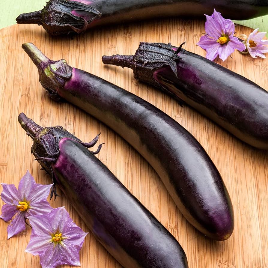 eggplantページ 814wcC9j19L._UF894,1000_QL80_.jpg