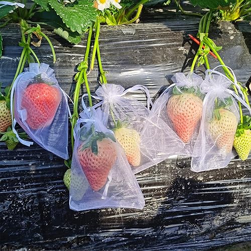Miniatura 4 de 100 bolsas de malla de frutas de organza de 6 x 8 pulgadas, bolsas de protección de frutas con cordón, bolsa de barrera de red para plantas de