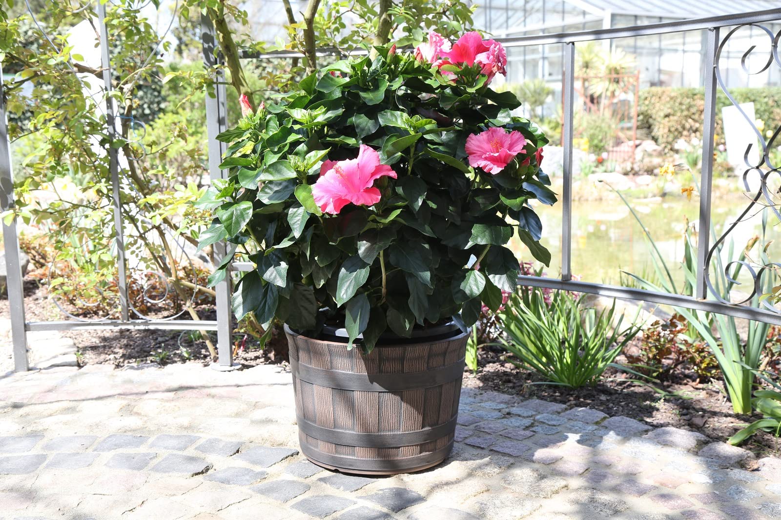 Pflanzkübel Barrique Holzoptik Ø36 cm – Kunststoff Blumenkübel im Barrique Fass Design – Ideal als Miniteich, Wasserspiel oder Übertopf – Wasserdicht und Frostbeständig