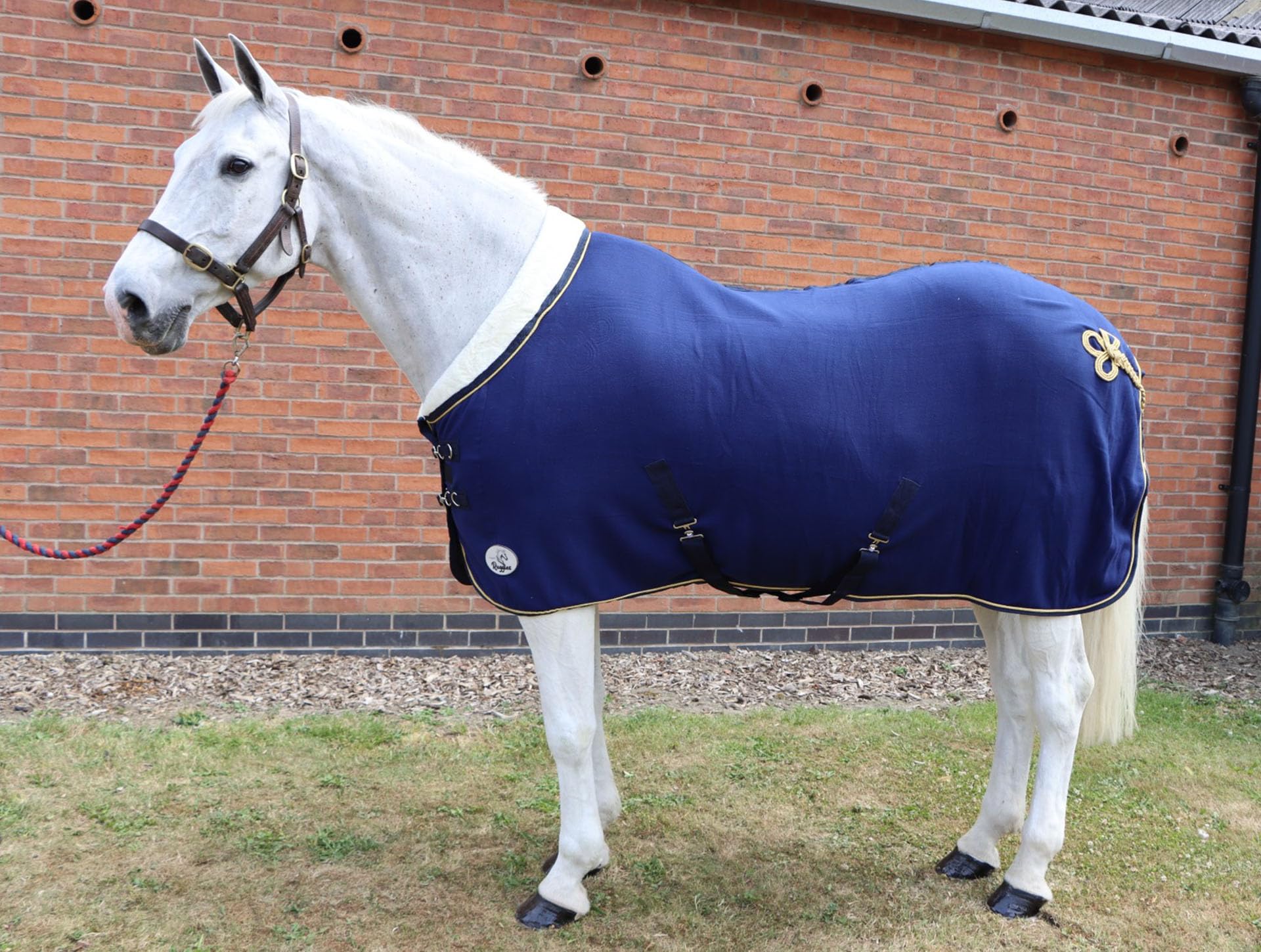 Ruggles Show Fleece Rug For Horse and Pony | Smart versatile Rug Ideal for Shows, Travel, Stable, after Exercise or Bathing (Navy, 5' 3")