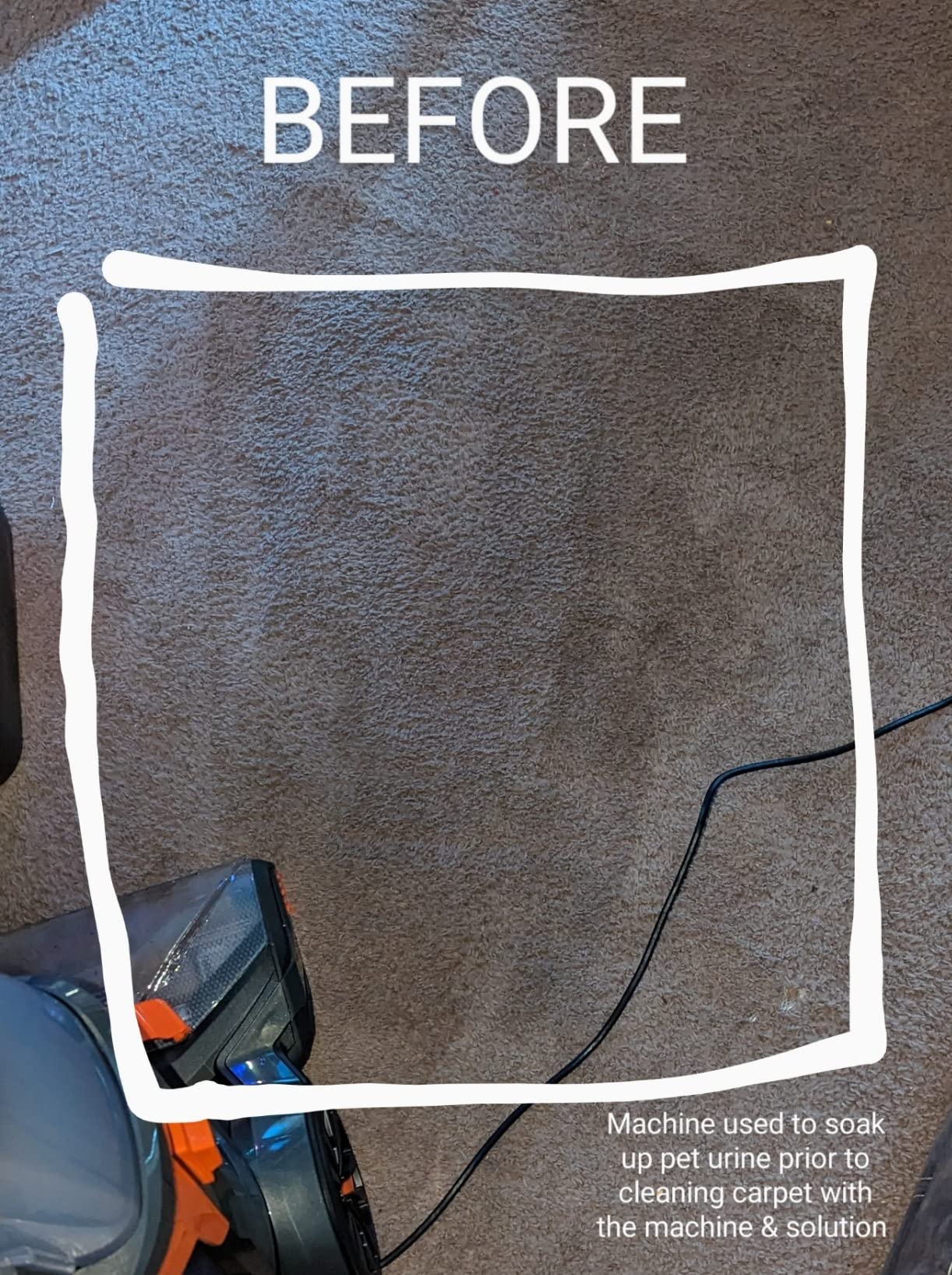 33/mo Finance BISSELL ProHeat 2X Revolution Pet, 35799, Upright Deep Cleaner Buy Now, Pay Later