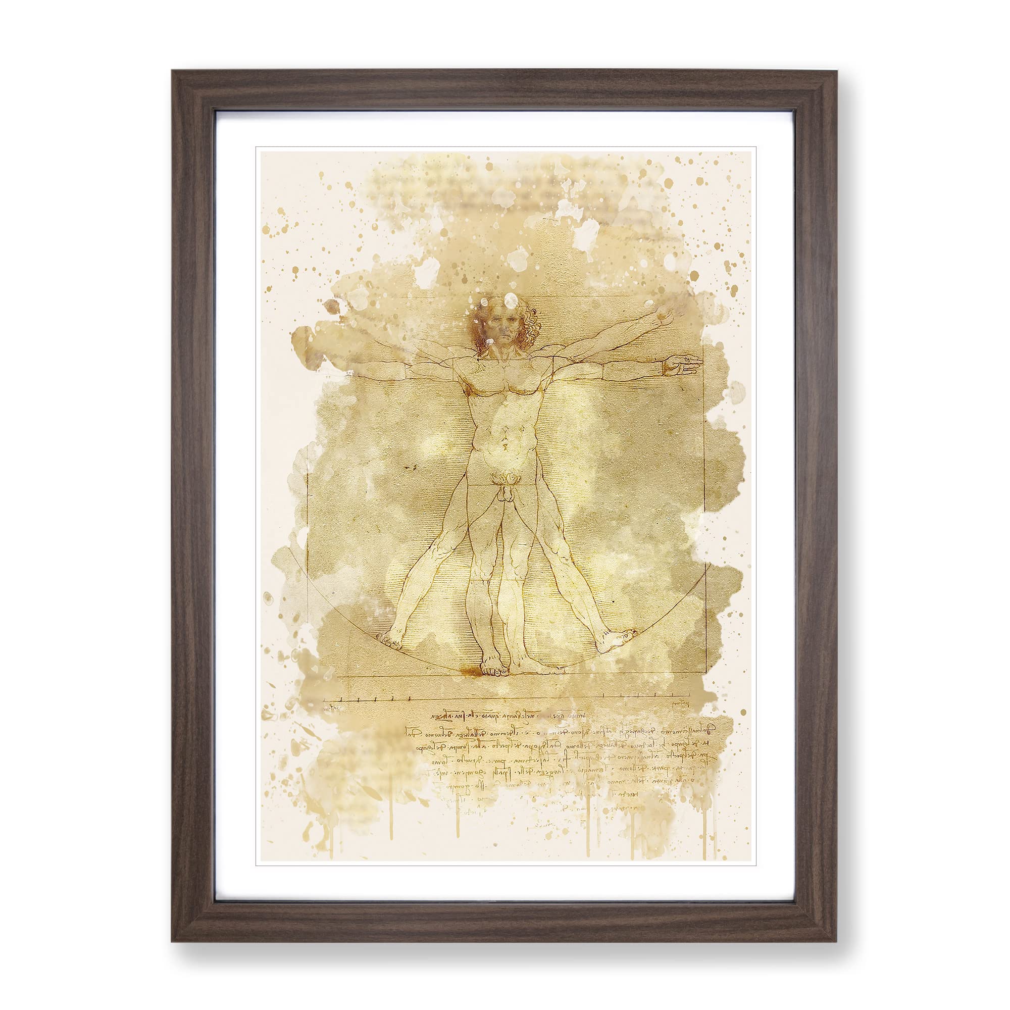Leonardo Da Vinci The Vitruvian Man Vitruviano Modern Fc Framed Wall Art Print