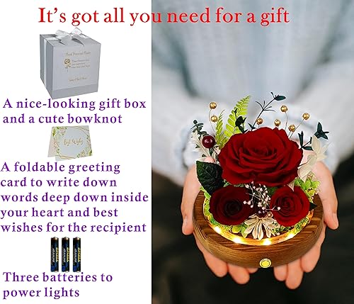 Miniatura 4 de Valley of Rain & Forest Flores reales de larga duración, regalo floral único para que envíes amor para todas las ocasiones, para decoración