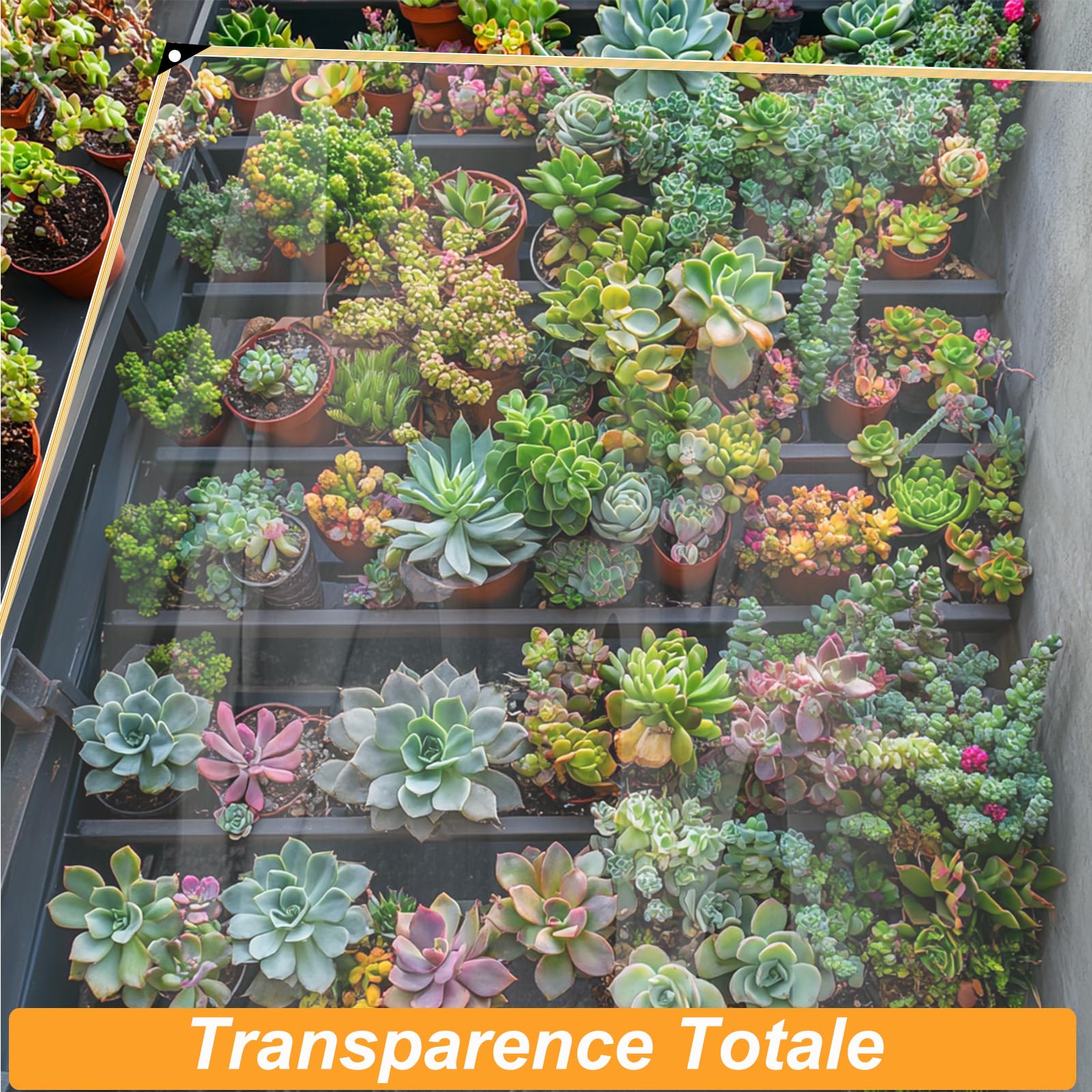 BeGrit 2x5m Bâche Transparente avec Oeillets Bâche Imperméable avec Corde Bache de Protection Plastique Bâches de Balcon Jardin Exterieur pour Serre Terrasse Plantes Meubles Pergola Extérieur