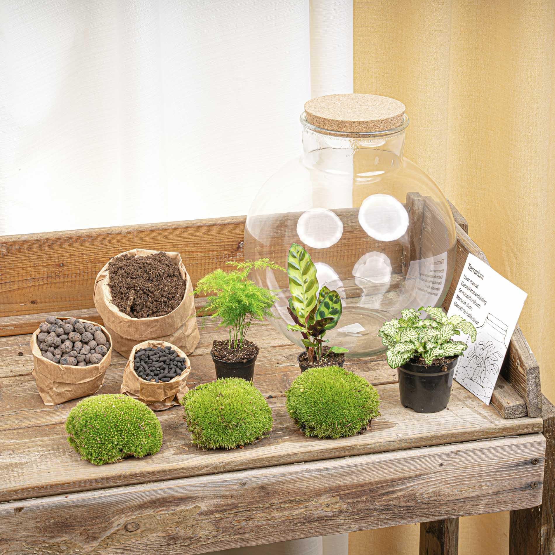 Terrarium z roślinami DIY ze światłem, szkłem i korkami, dekoracja, Ø 31 x 30 cm