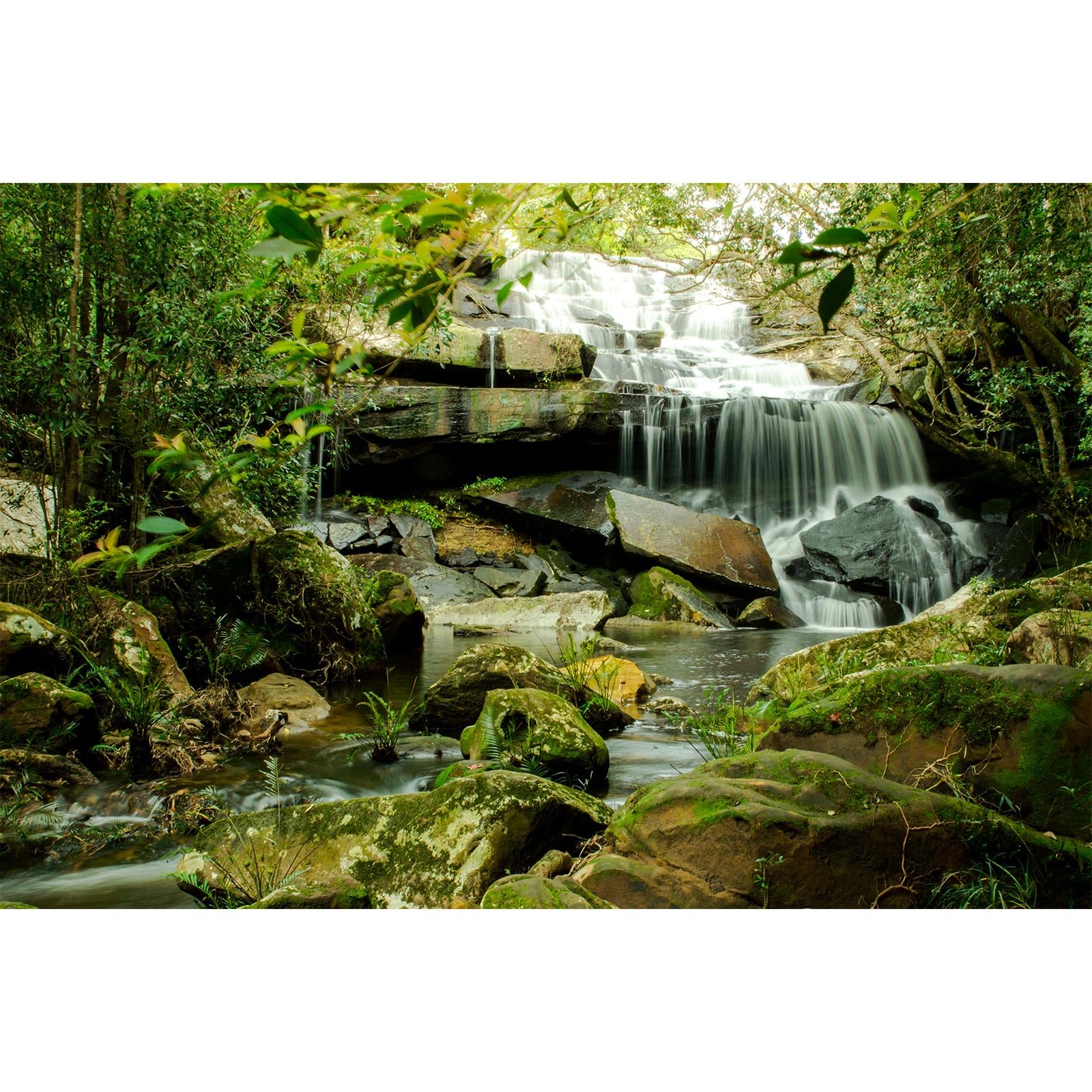 Tropical Waterfall Aquarium Background Jungle Rainforest Lake Stream Natural Landscape Fish Tank Background Tropical Plants Huge Rocks Terrarium Backgrounds Jungle Forest Reptile Backgrounds 24x16in