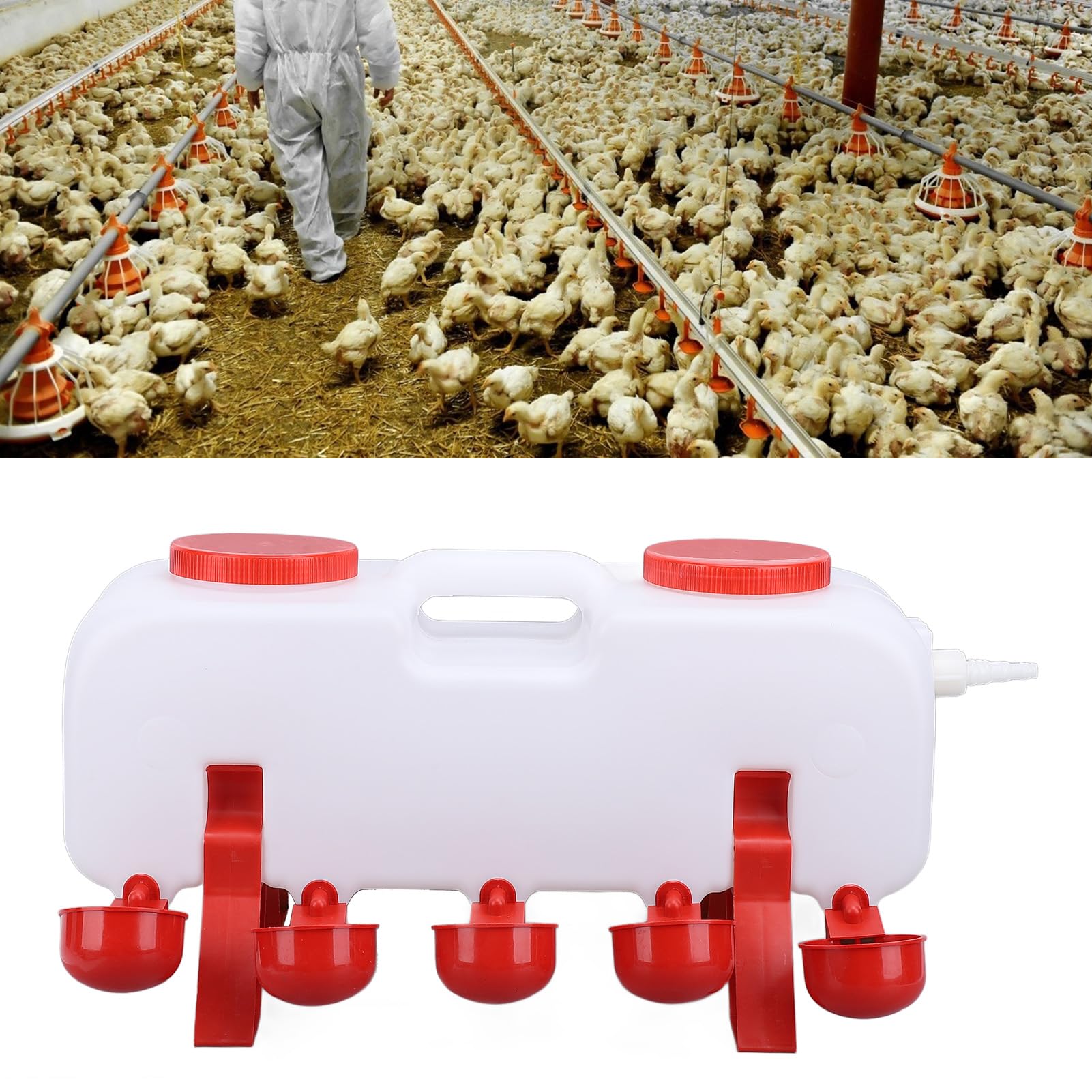 Abbeveratoio per Pollame da 10 Litri con Ricarica Automatica, Mangiatoia Sigillata per Acqua Polli Allevamenti, Pappagalli, Anatre, di Abbeveraggio Sicuro Ed Efficiente (L)
