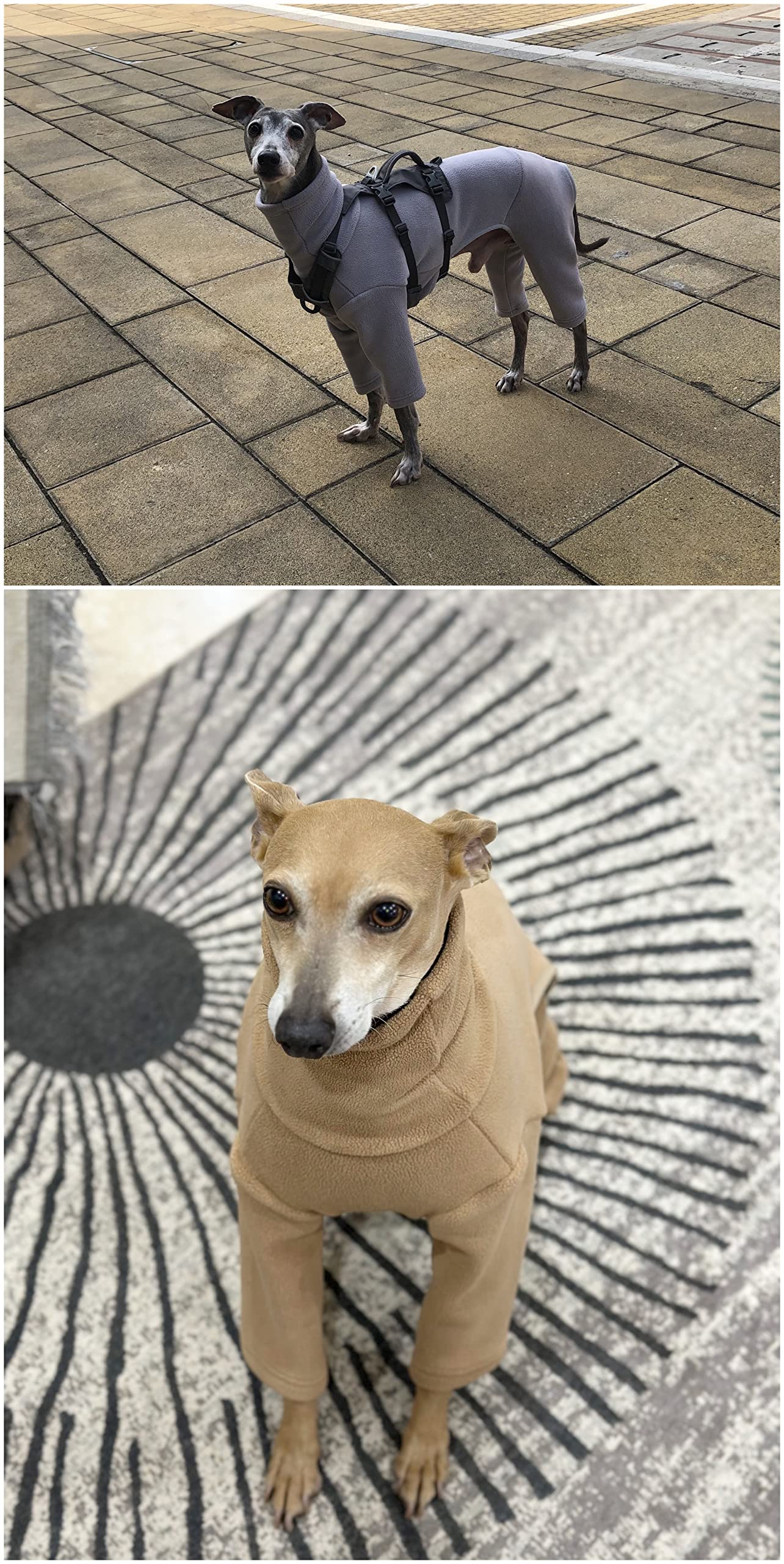 Amazon | PP&DD 犬服 ストライプ ロンパース イタグレ ボアフリース