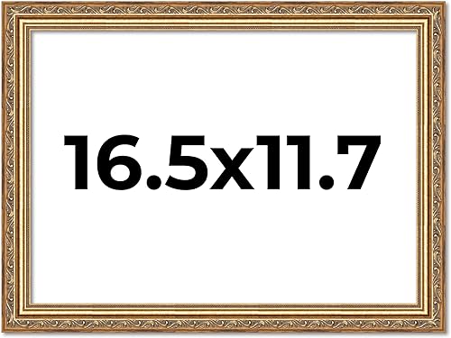 Vista 28 de Poster Palooza Marco de fotos de madera tradicional dorado antiguo de 6 x 18 pulgadas con plexiglás acrílico UV, respaldo de tablero de espuma