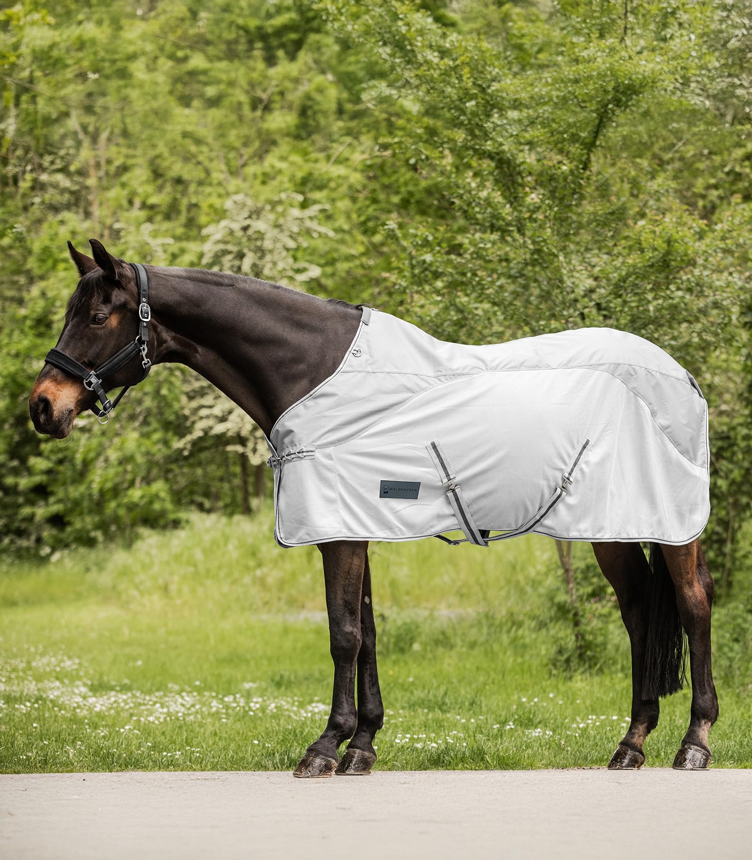 Waldhausen Regen-Fliegendecke Protect, Silbergrau/grau, 135 cm