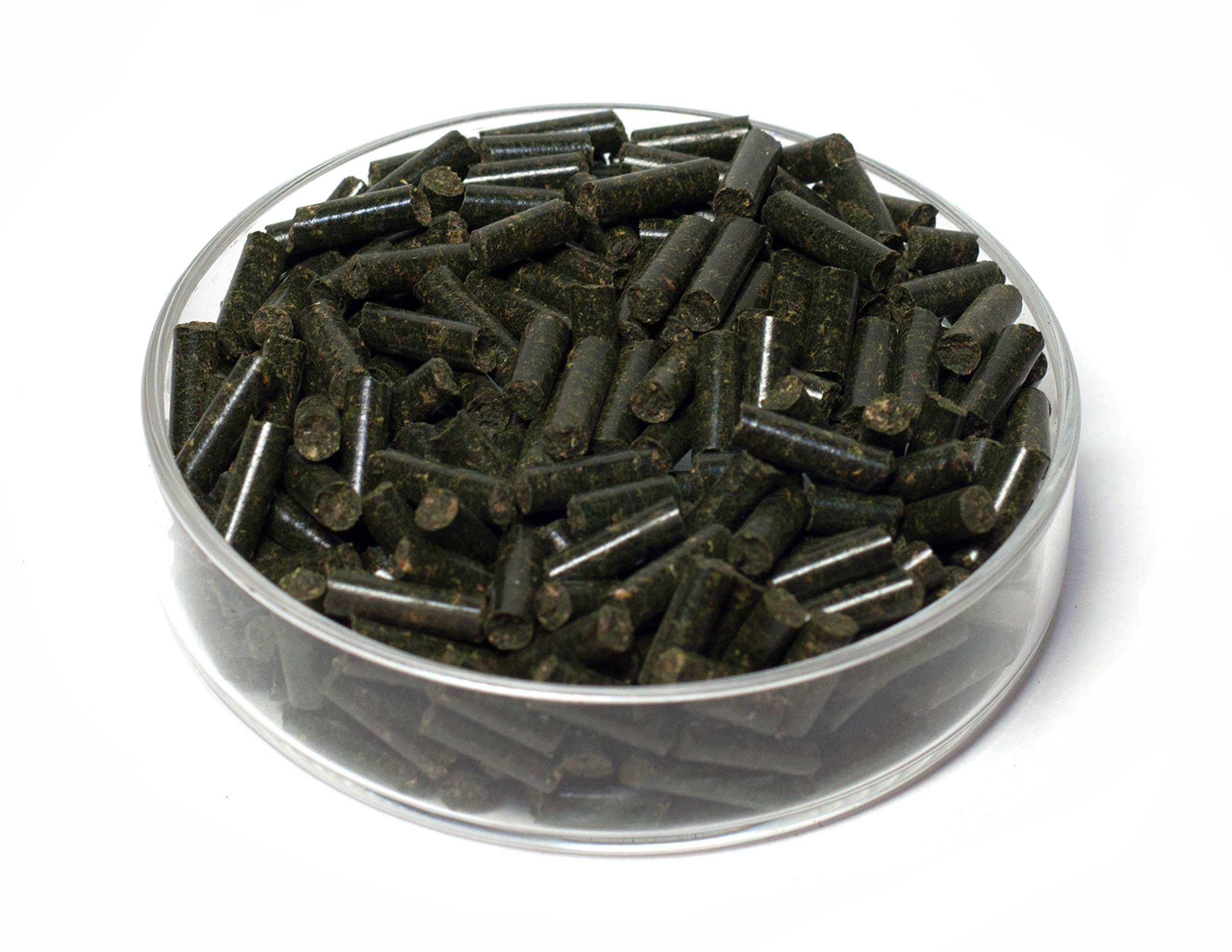 SHRIMP4YOU GARNELEN4YOU® Bâtonnets d'ortie | Nourriture pour crevettes de qualité supérieure | Emballage Durable | Fabriqué en Allemagne | Granulés Alimentaires pour crevettes, crabes, escargots & Co