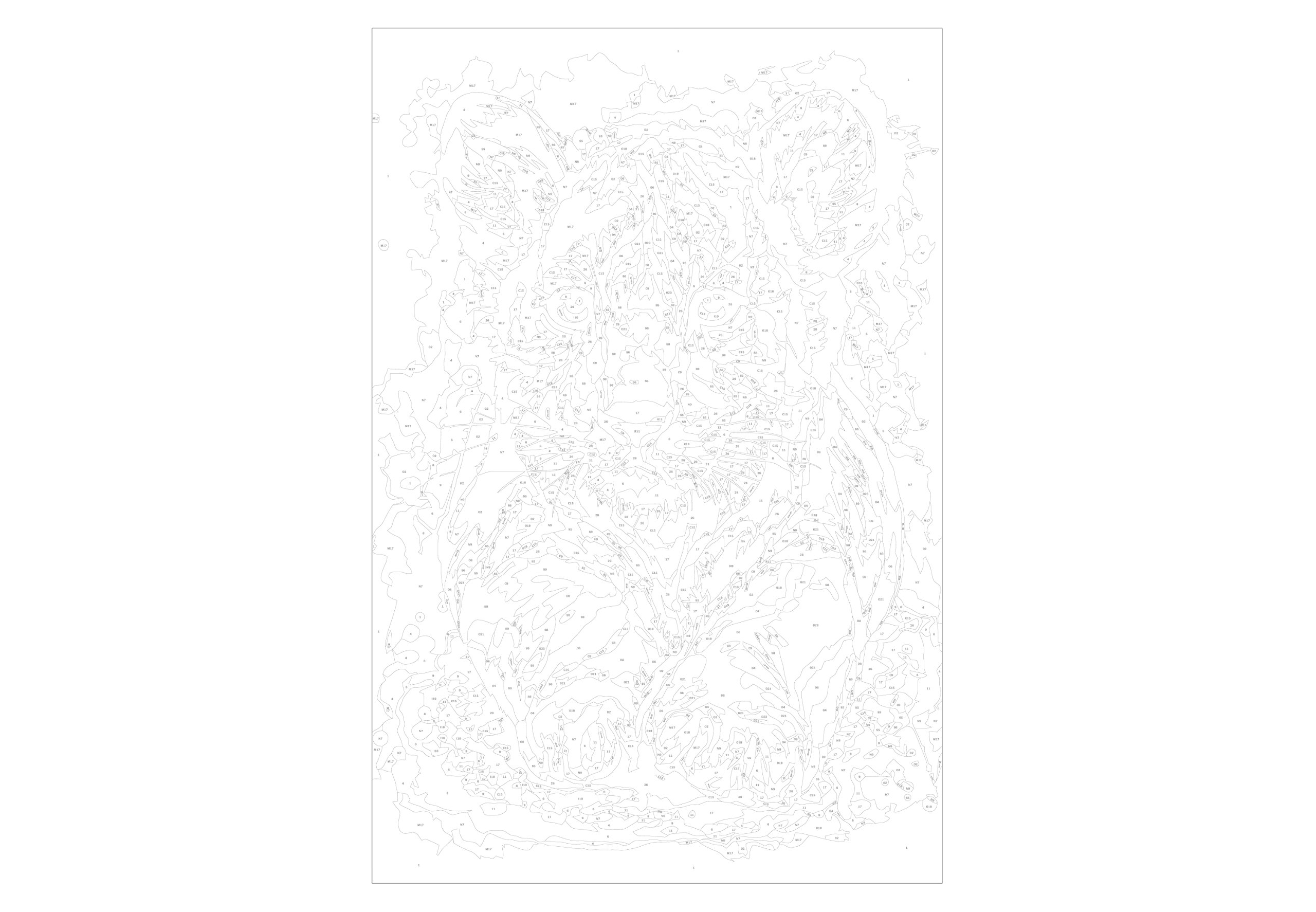 Colorear Por Numeros Adultos Murando Pintura Por Números Cuadros De Colorear Por Números Kit Para Pintar En Lienzo Con Marco DIY Bricolaje Adultos Niños Decoracion De Pared Regalos Tulipanes 50x40 Cm N A