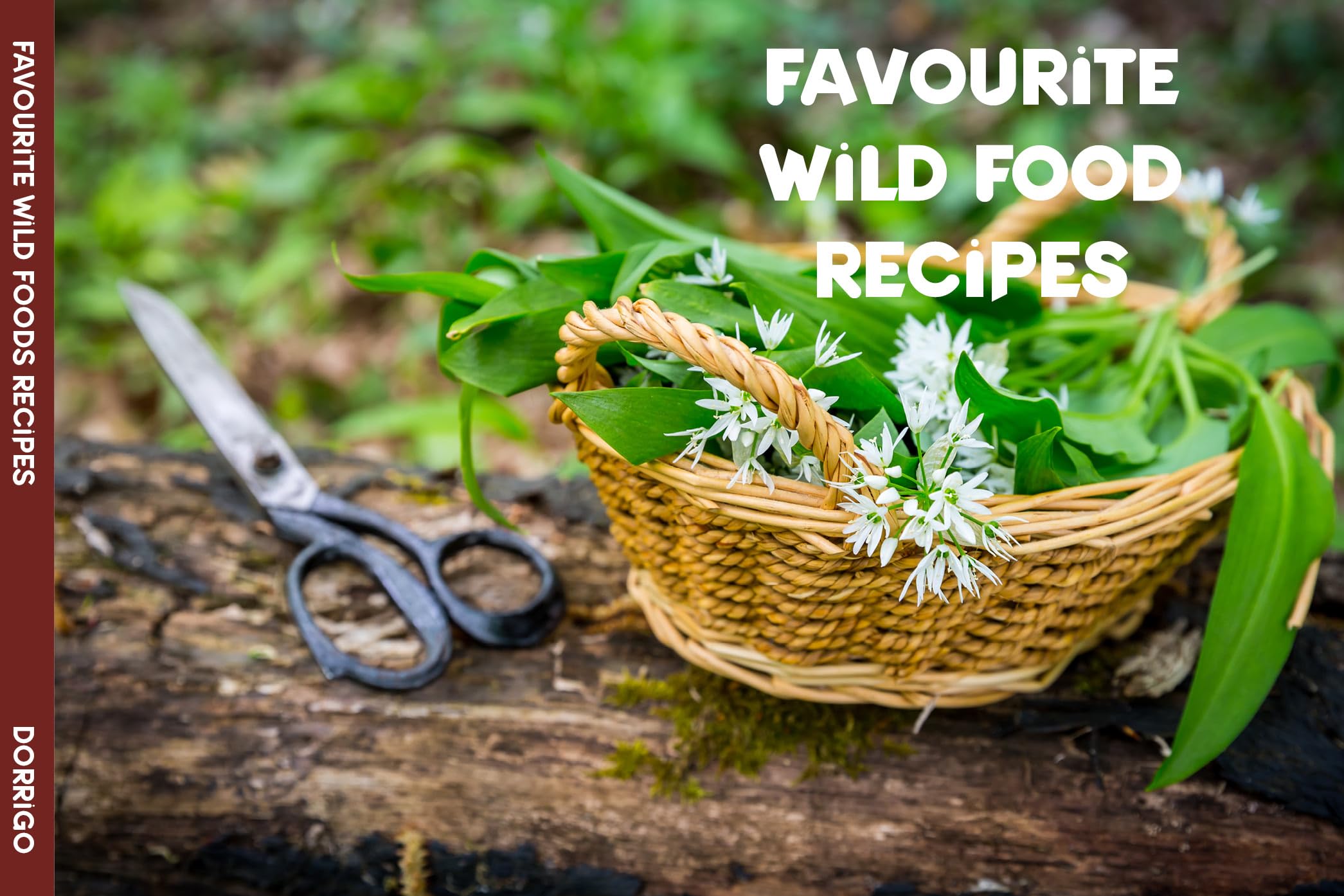 Salmon Favourite Wild Recipes (Paperback Book)