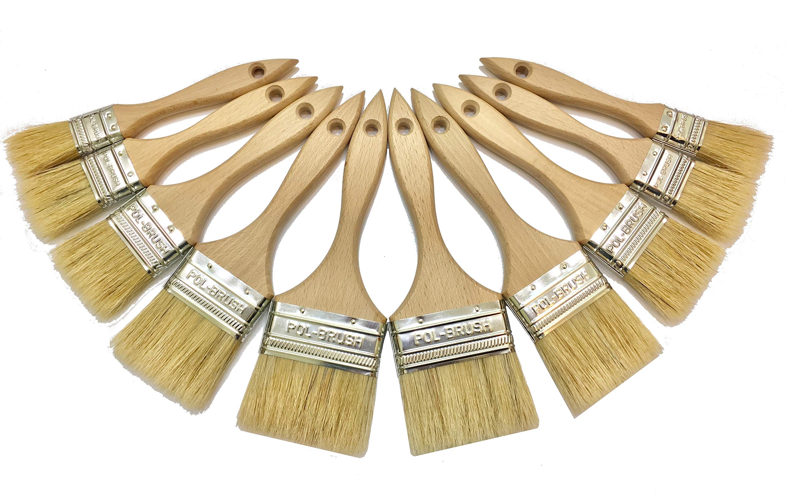10 Pack Paint Brushes with Natural Bristles