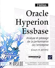 Download Oracle Hyperion Essbase - Maîtrisez l'univers de l'analyse et du pilotage de la performance (Cours et Ateliers) (2e édition) PDF