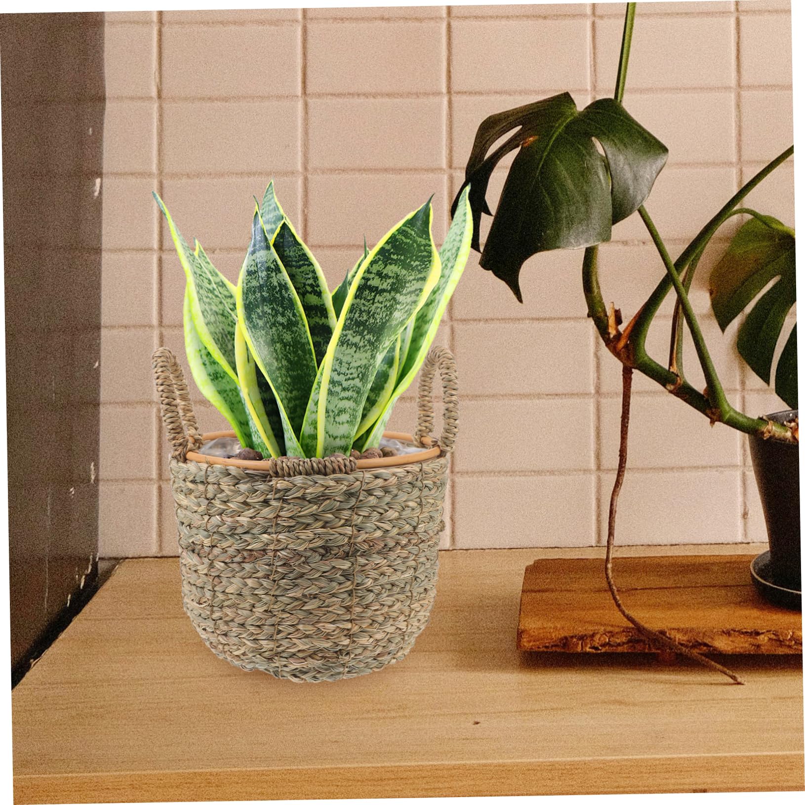 MAGICLULU Cestini Decorativi Per Piante Cestino Portaoggetti in Paglia Intrecciata Piccolo Manico Decorazione Multiuso Per La Casa