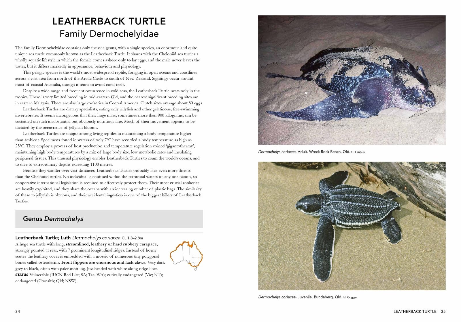 A Complete Guide to Reptiles of Australia: Volume 7