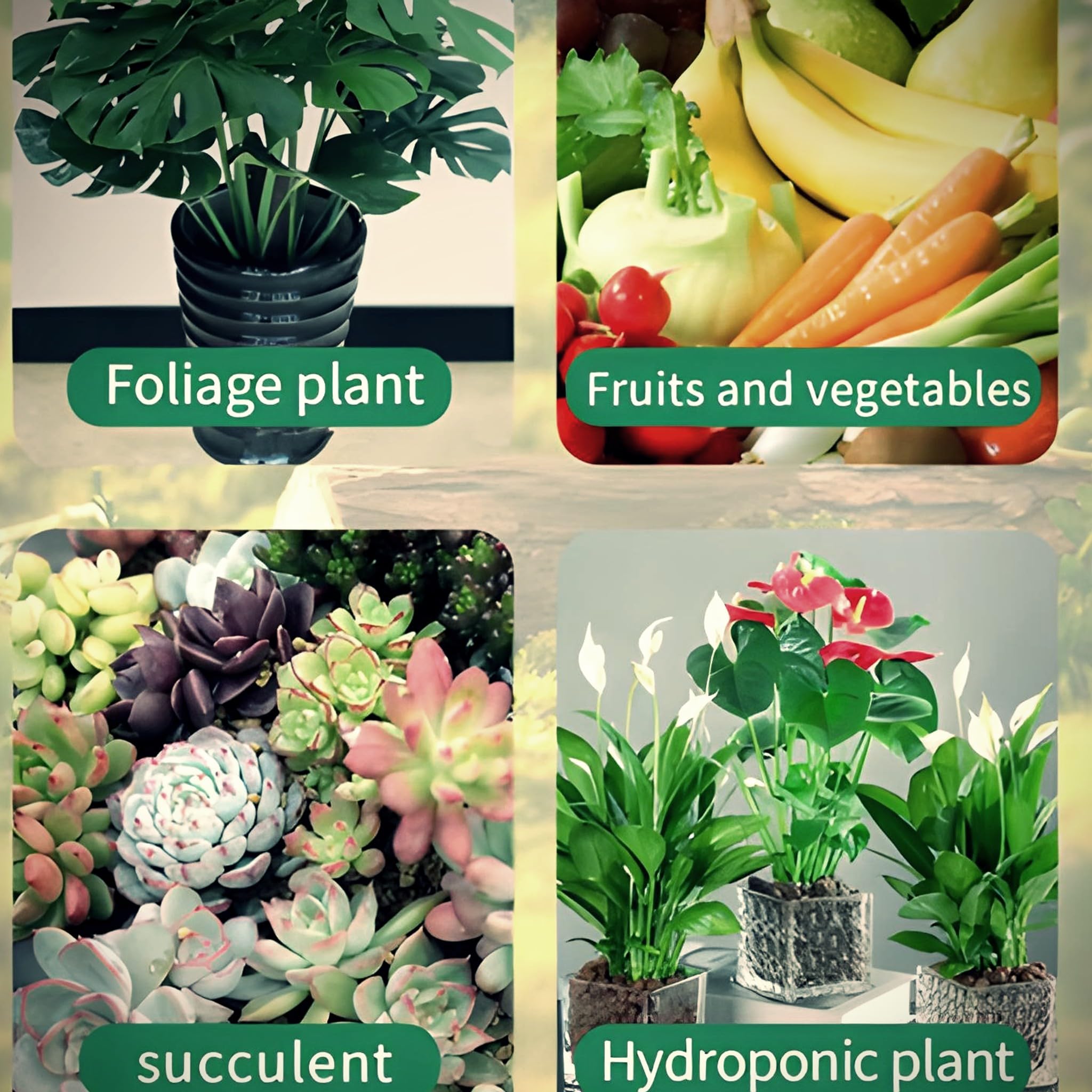 Bricoloco Barritas de Abono Fertilizante de flores de barra nutritiva de liberación lenta, para plantas verdes, frutes, vegetales. Palitos para planta Con Magnesio, Urea y micronutrientes (240)