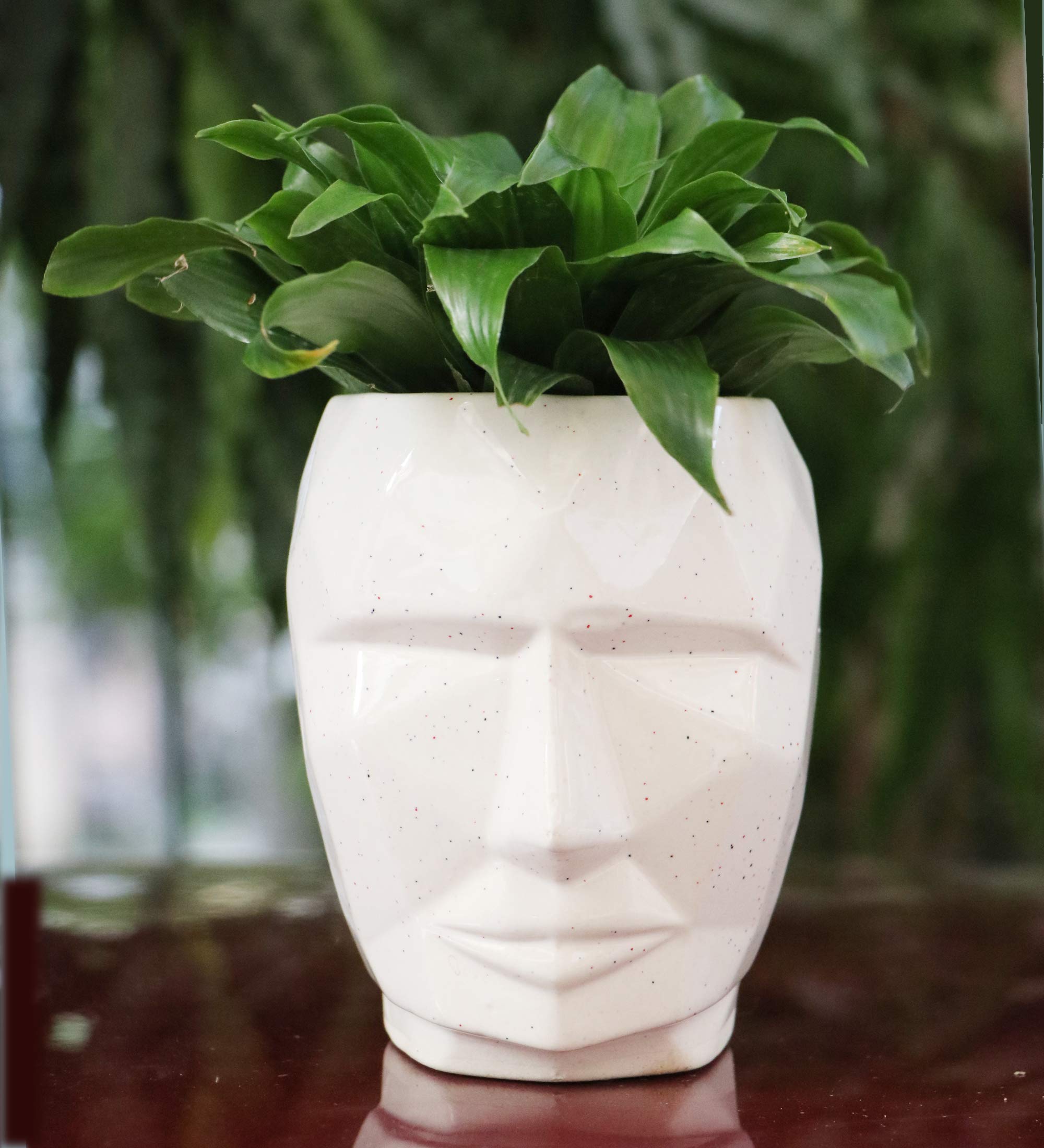 Lyallpur Stores Ceramic Pots for Plants Man Face Shape - Medium Size (White Color, 14 cm) Ceramic Planters for Indoor Plants, Living Room. [Plant Not Included] (B08MBSP988) Amazon Price History, Amazon Price Tracker