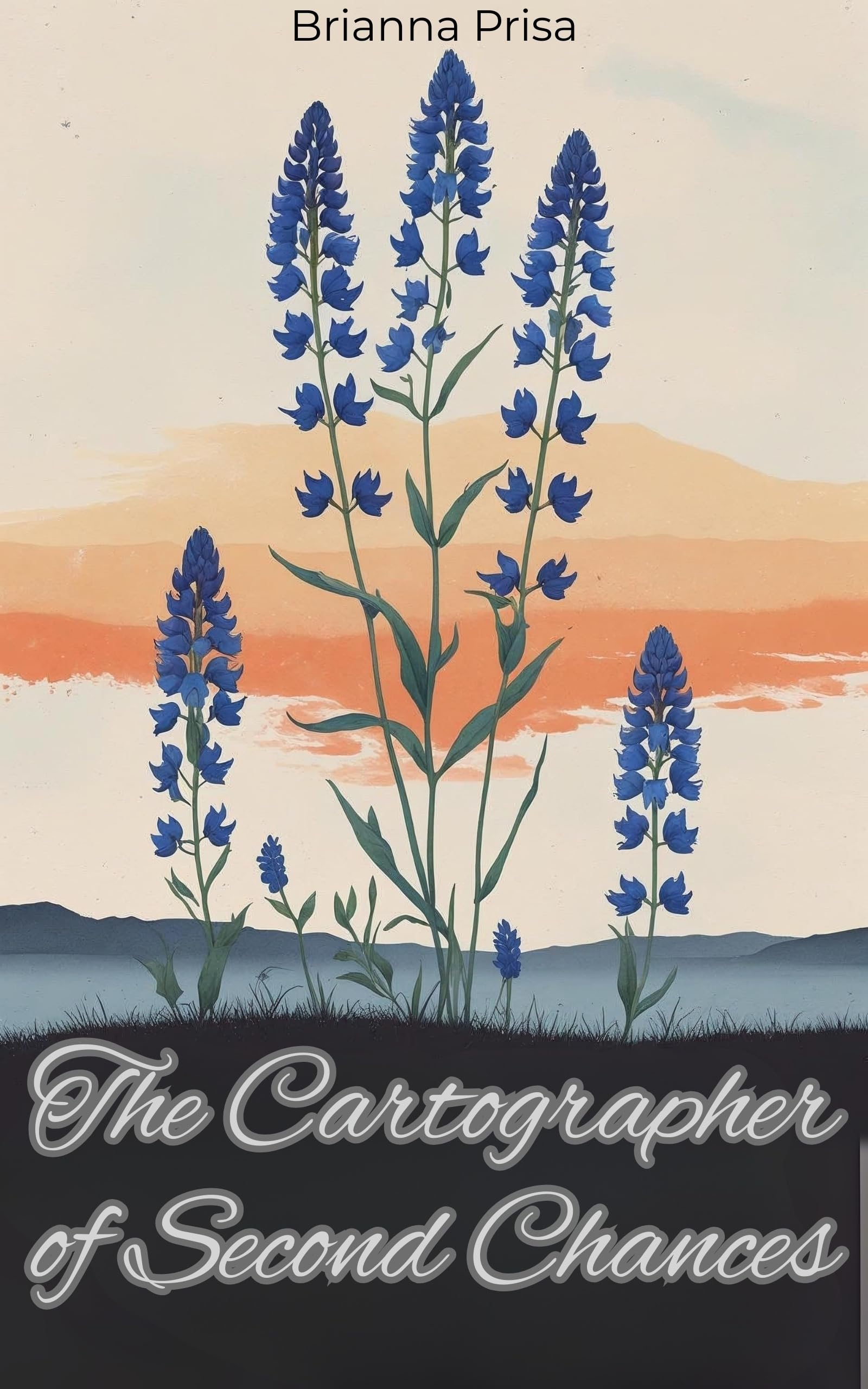 Book cover: The Cartographer of Second Chances