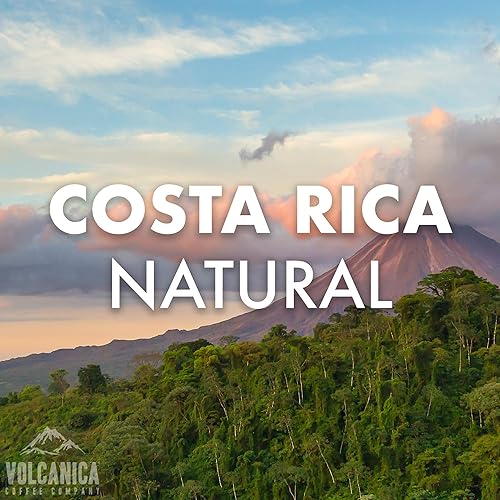 Miniatura 2 de Café Costa Rica, proceso natural, grano entero, tostado fresco, 16 onzas