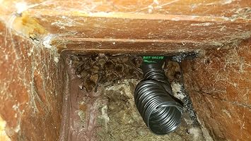 The Bat Valve | TBV-FR4 | Bat Removal Device to Get Rid of Bats | Best Bat Cone | One-Way Bat Door for Permanent Bat Removal out of your House