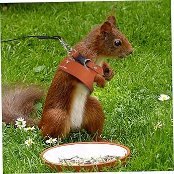 リス スエードロングブーツ ｜ LIZ LISA（リズリサ）公式通販