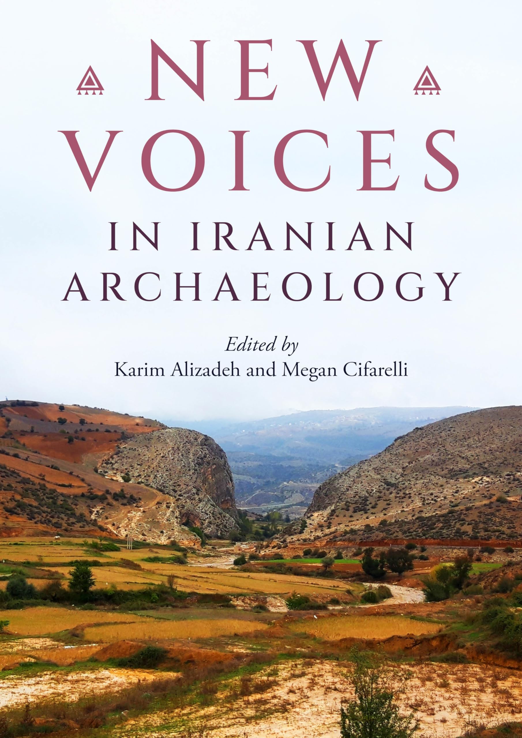 New Voices in Iranian Archaeology PAPERBACK 9798888571453