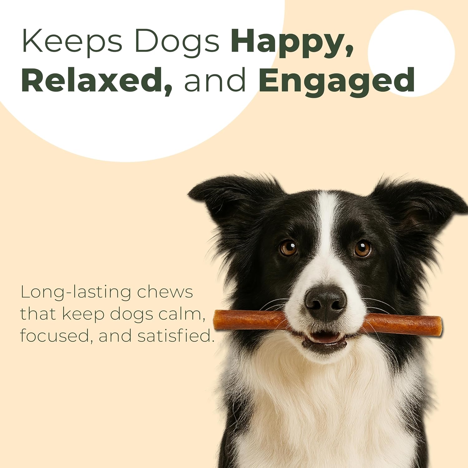 Odor Free Bully Stick Dog Treats - Long Lasting Chew Sticks - Free Range Grass Fed Beef Natural Dental Chew Treat - 6" inch, 5 Pack