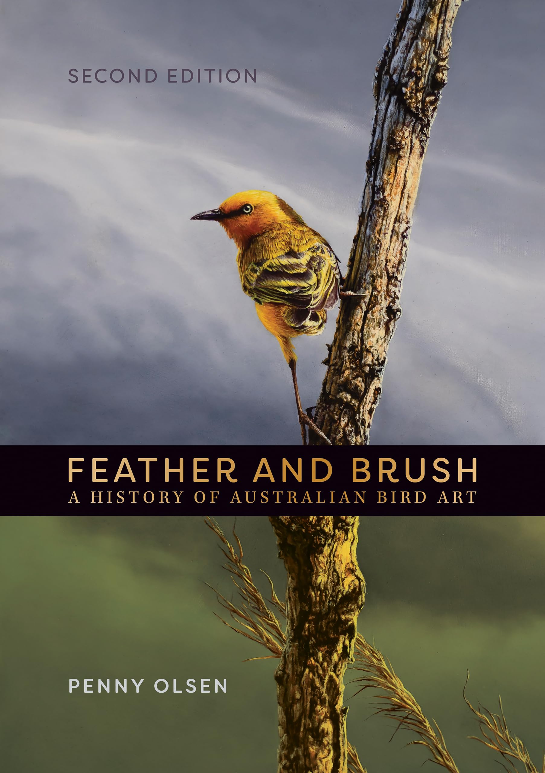 セール！　 Feather and Brush：オーストラリア鳥類芸術300年 Feather and Brush: A History of Australian Bird Art : Olsen, Penny