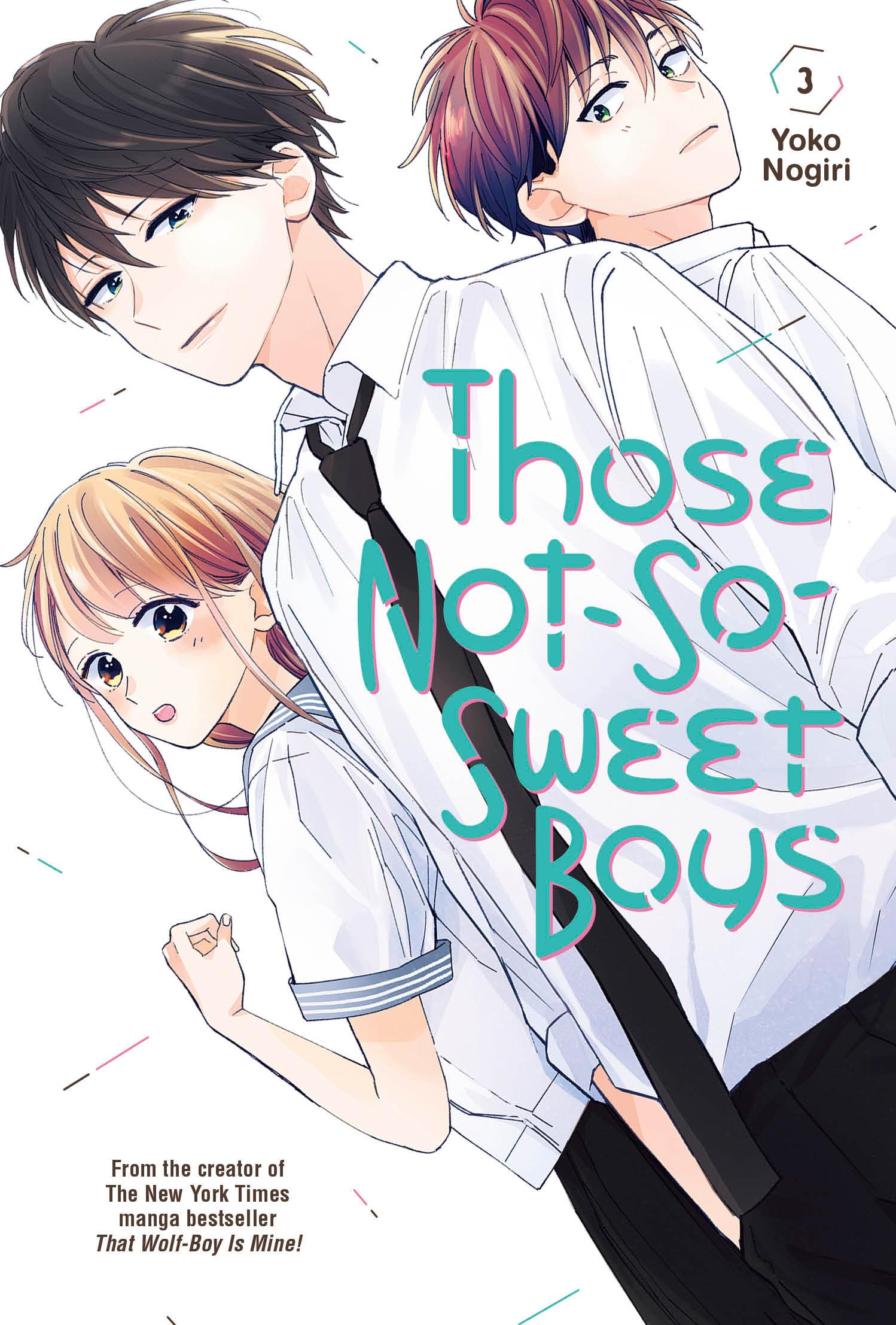Those Not-So-Sweet Boys 3 (THOSE NOT SO SWEET BOYS GN)