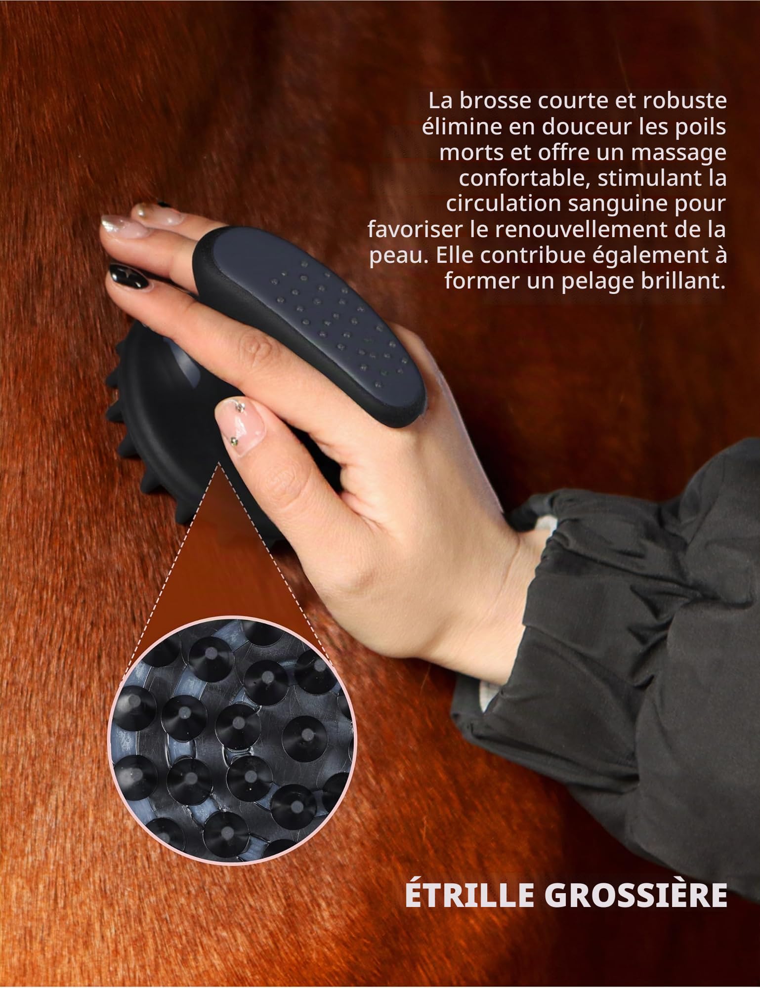 Harrison Howard Kit de toilettage pour chevaux 9 pièces Equine Care Series Ensemble de brosses pour chevaux avec sac fourre-tout organiseur Noir