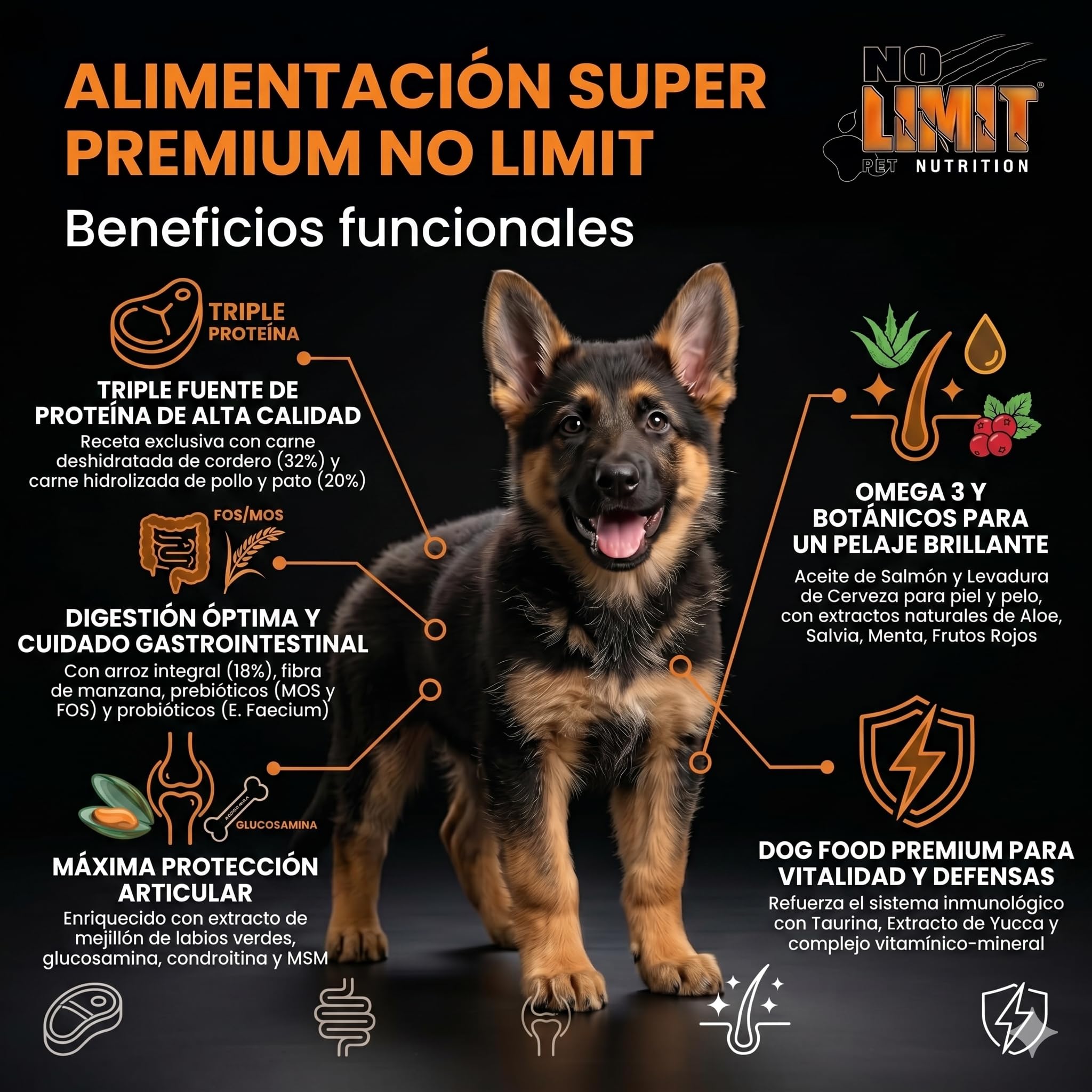 NO Limit Triple Natural Meat Pienso para Perros 15kg – Cordero, Pollo y Pato con Omega 3 – Comida Natural para Perros Adultos – Dog Food Premium para Digestión, Articulaciones y Vitalidad