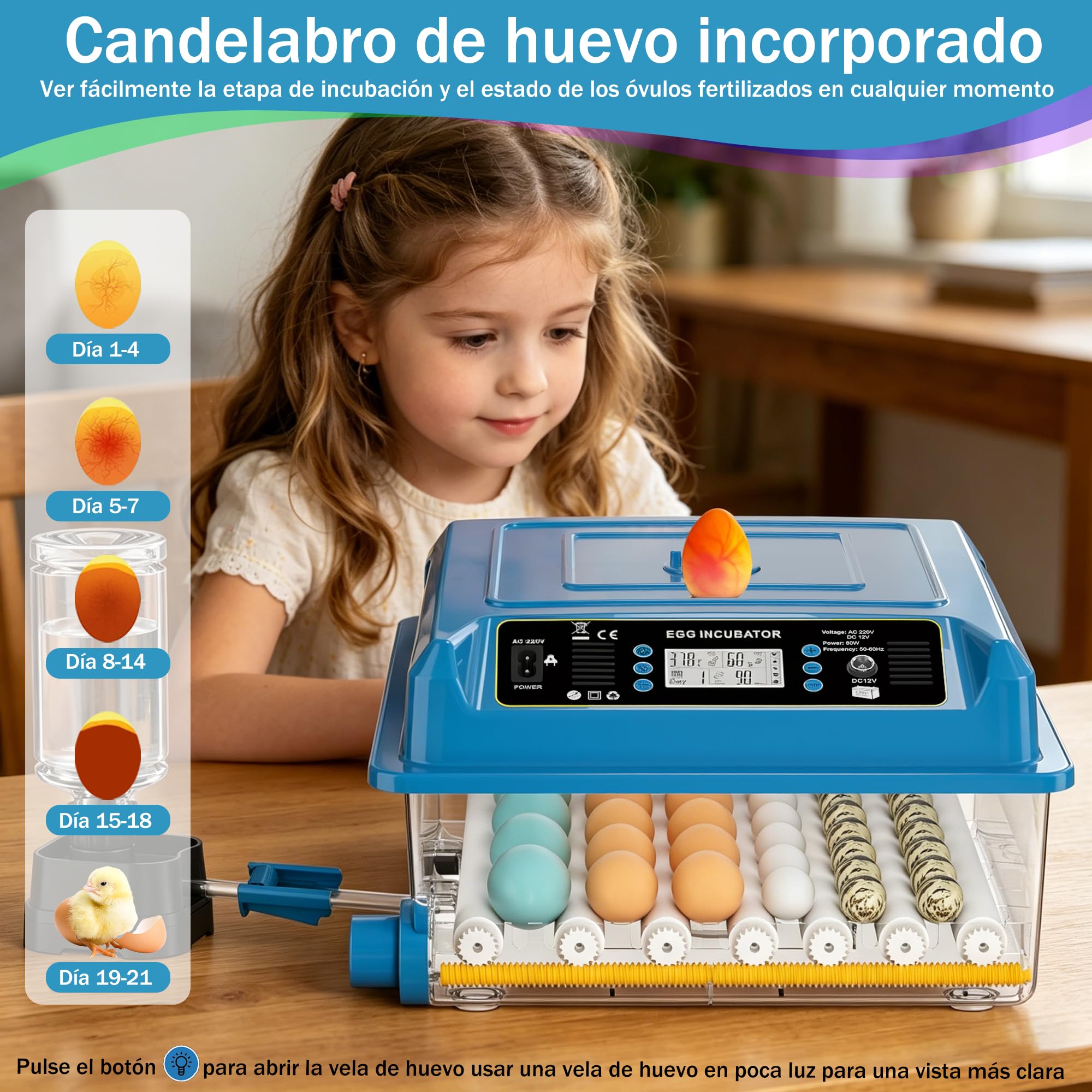 Incubadora de huevos para incubar pollos con control de temperatura y giro automático (azul, 36 huevos)