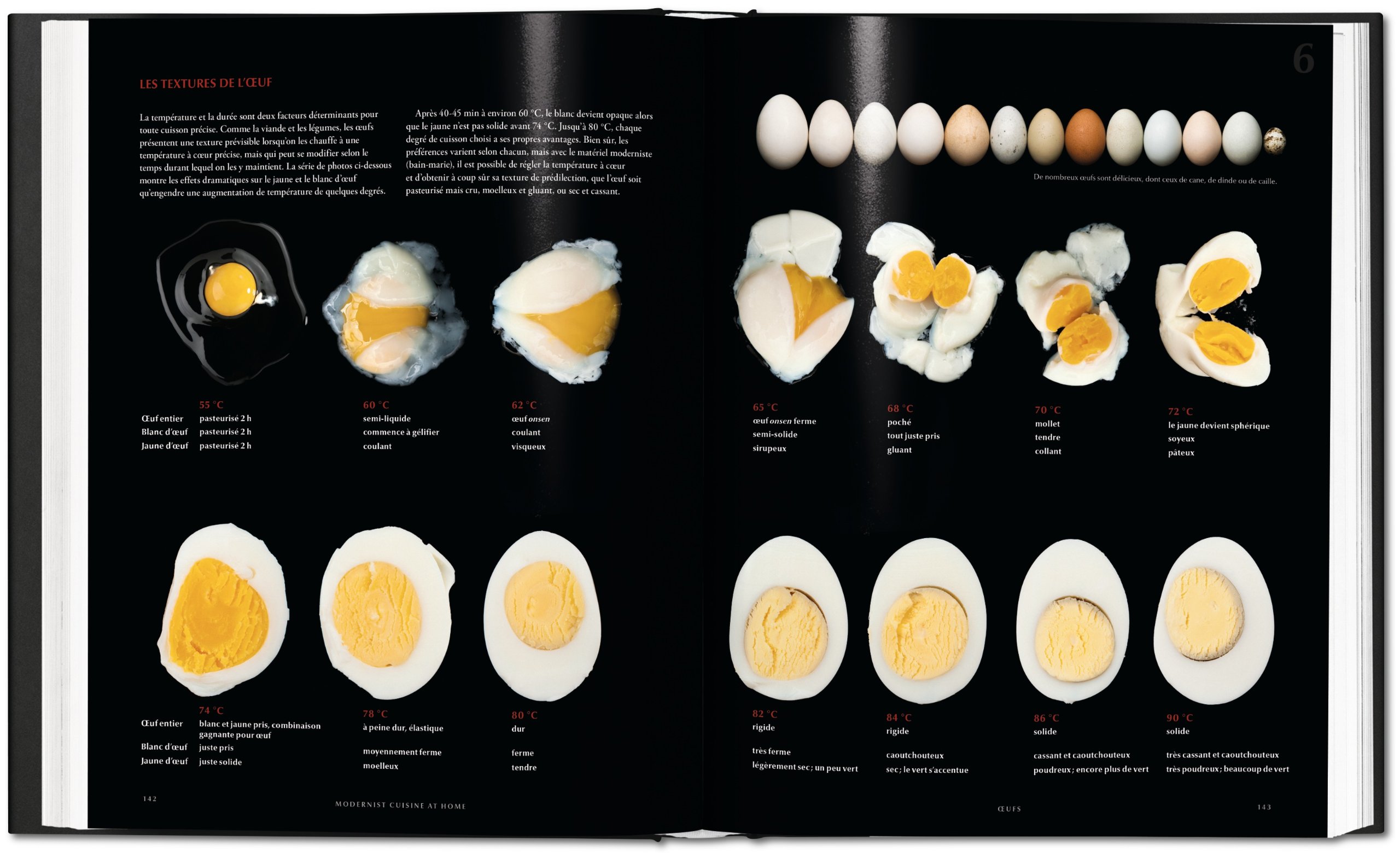 Modernist Cuisine at Home (Français)