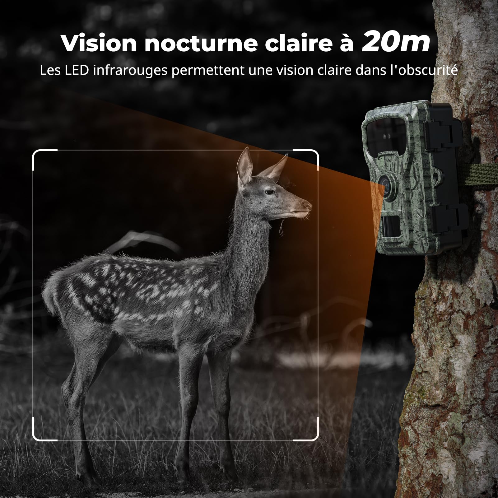Camera de Chasse 4K 48MP: Caméra de Chasse Pas de WiFi avec 2'' LCD Écran,Carte SD 64GB,Étanche IP66, Enregistrement en Boucle pour l'observation de Chevreuil, Renard de la Faune