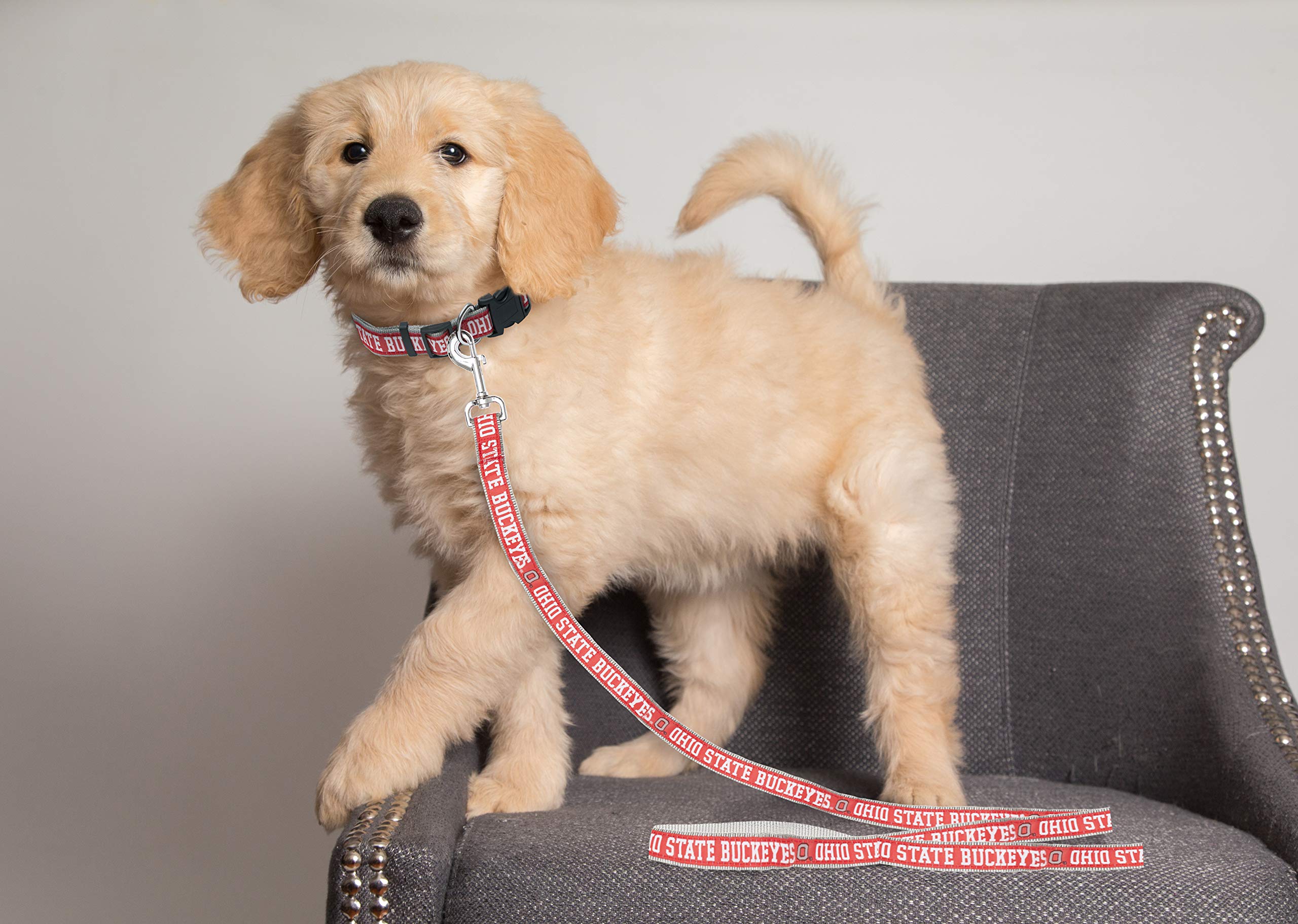 Mirage Ohio State Buckeyes Correa para Perros y Gatos