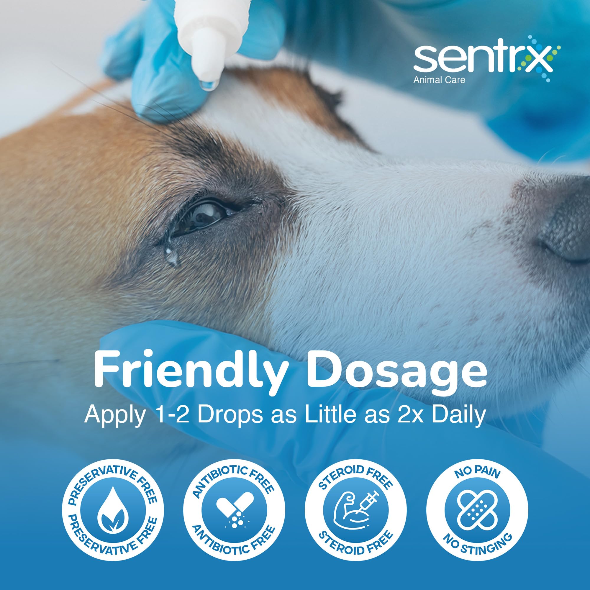 Sentrx - Eye Lube Pro Eye Drops for Dogs, Cats, and Horses, Hydrating Gel Eye Drops with Hyaluronic Acid and Carbomer Lubrication, for Dryness, Itching, and Irritation, 20g — Amazon image 4