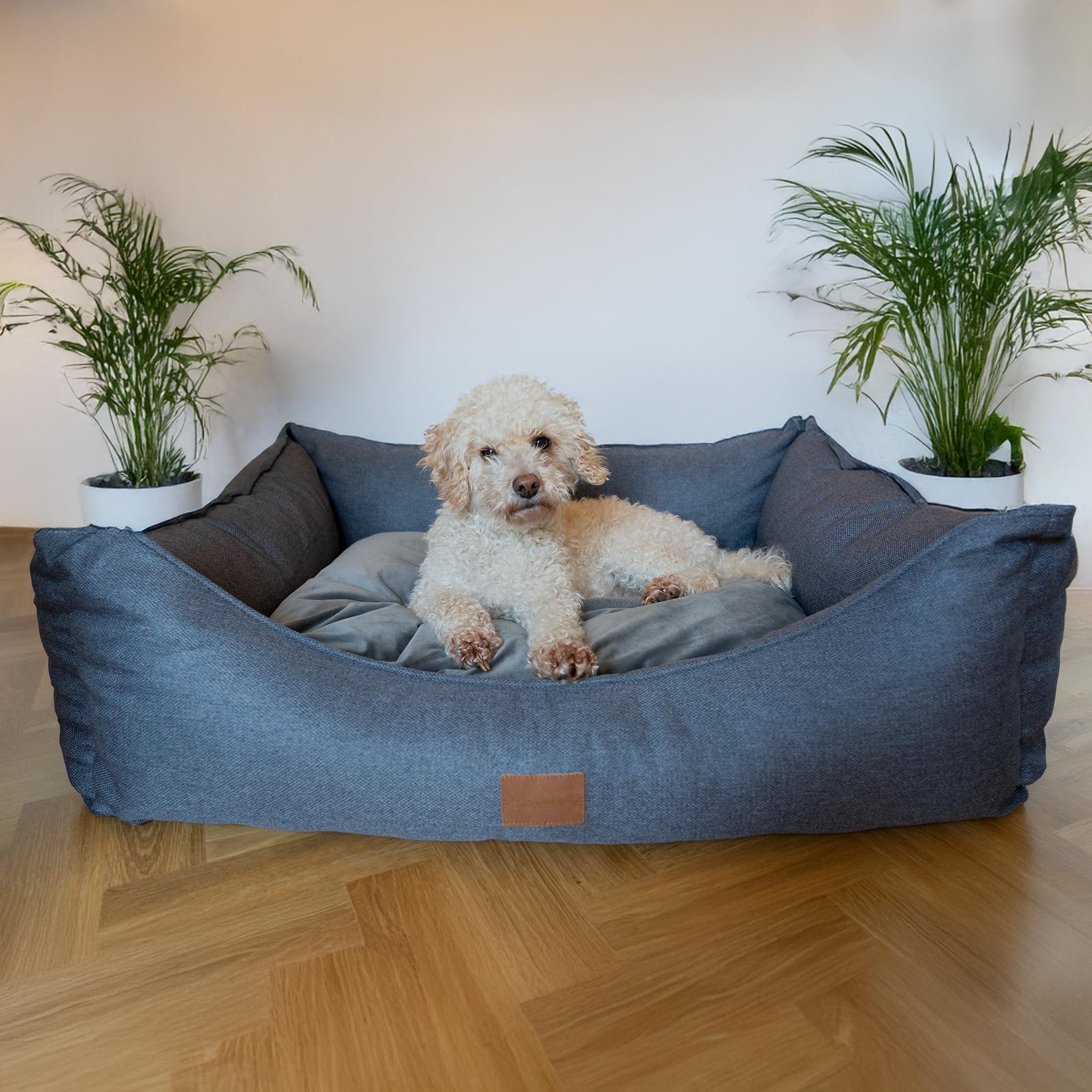 allpetsolutions Willow Premium Luxury Range Dog Bed - Warm, Velvety Cushion, Machine Washable Dog Bed with Raised Rim - Extra Soft Reversible, Removable Pillow Cushion - Extra Large, Grey