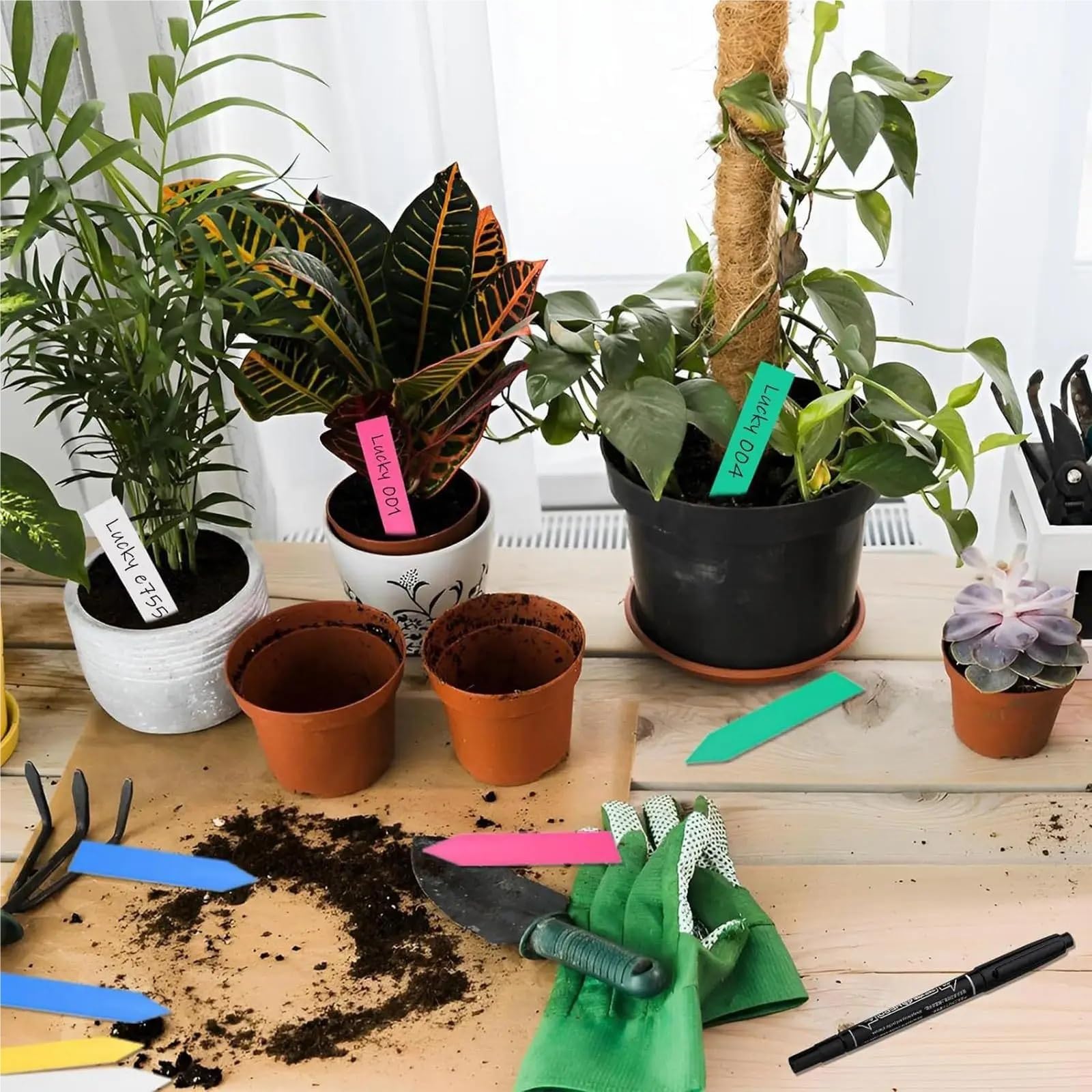 Etiquette Jardin Étiquettes de jardin, signes légumes avec stylo, étiquettes pépinière for fleurs, extérieur, intérieur, serre, cour, Patio, lit surélevé, 500 pièces