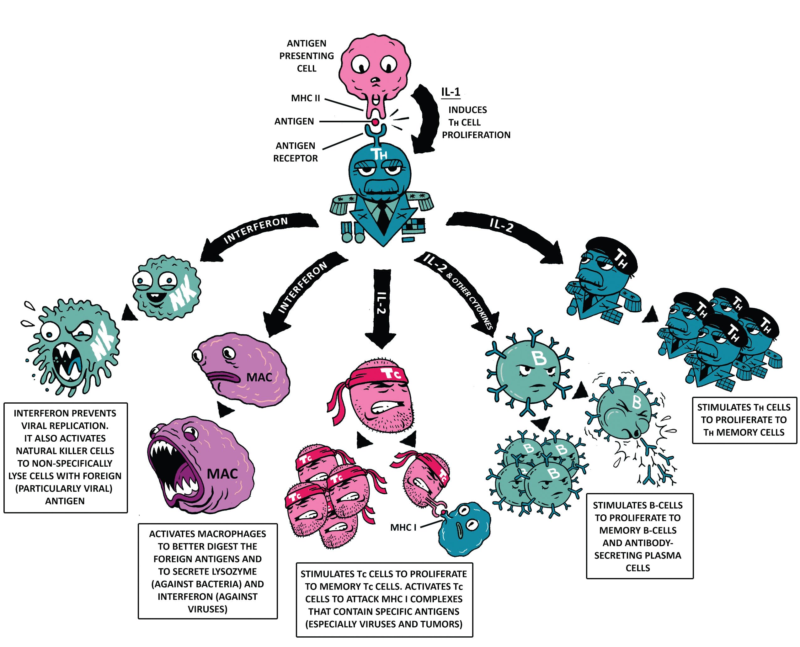 Clinical Physiology Made Ridiculously Simple: Color Edition