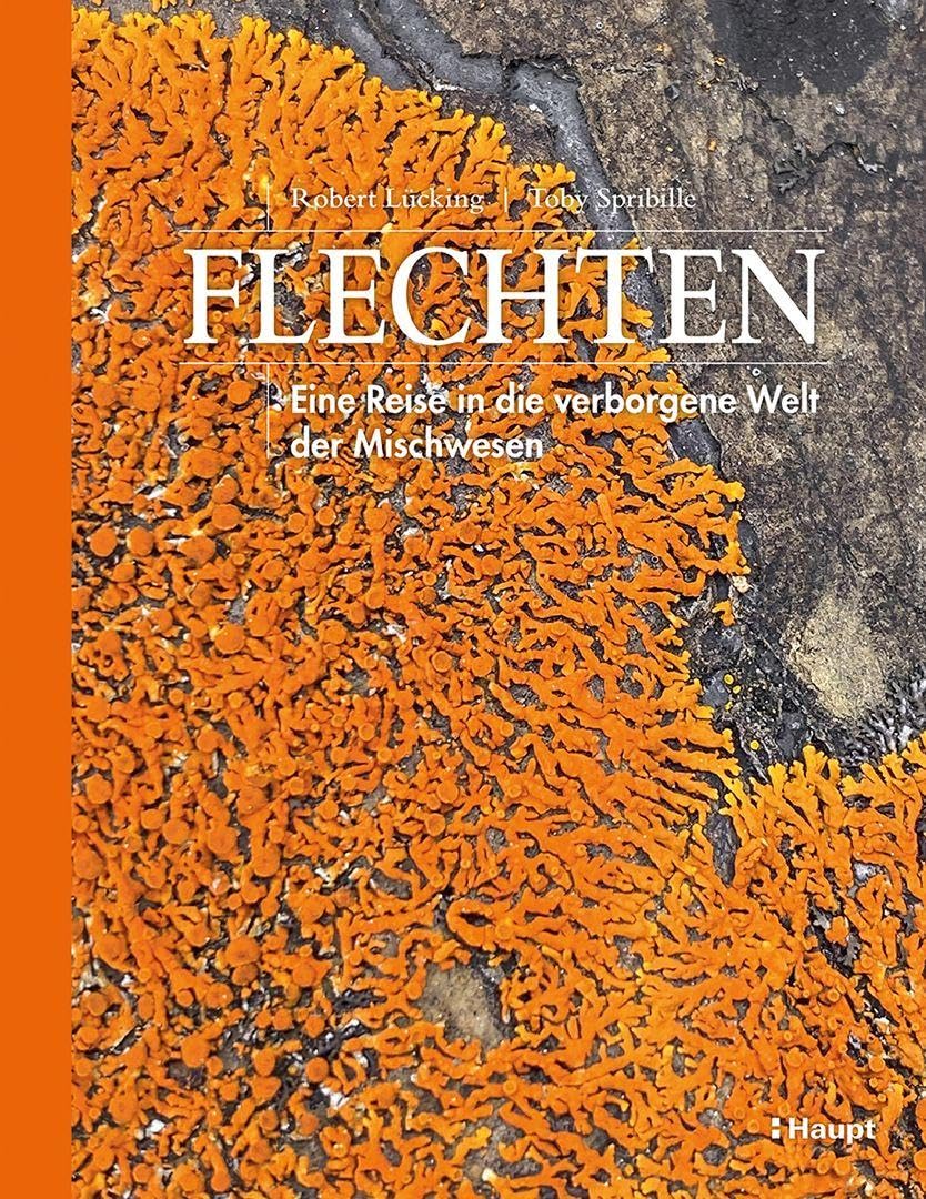 Flechten: Eine Reise in die verborgene Welt der Mischwesen