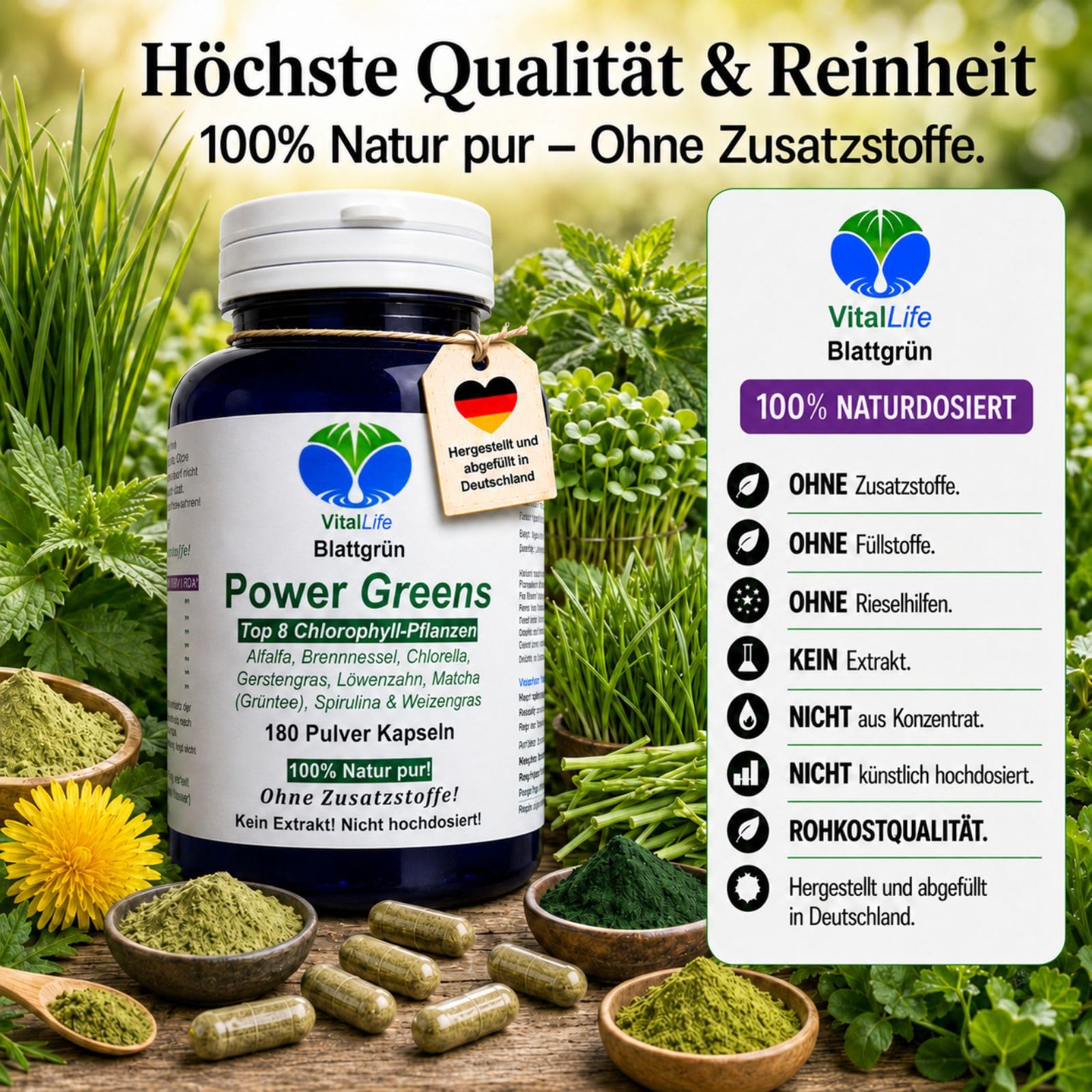 Green Power Greens Top8 Chlorophyll Supergreens 180 Pulver Kapseln mit Alfalfa Brennnessel Chlorella Gerstengras Löwenzahn Matcha Spirulina Weizengras. Natur pur. Ohne Zusatzstoffe. 26332-180
