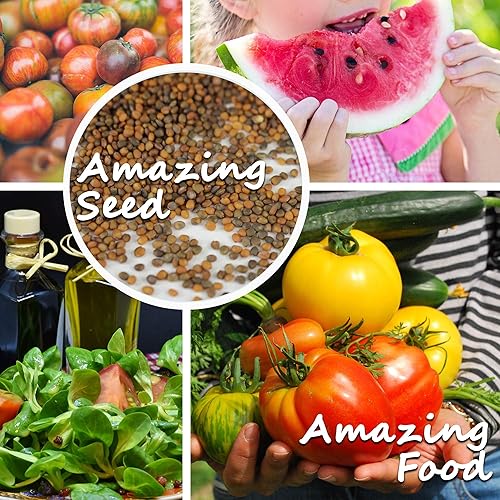 Miniatura 5 de Fordhook 242 Bush Lima Bean - Semillas de 5 libras a granel  2,240 semillas, reliquia, polinización abierta, sin OMG, semillas de jardinería