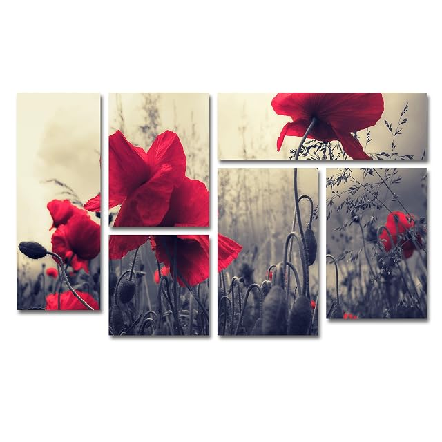 Trademark Fine Art Red for Love by Philippe Sainte-Laudy 6 Panel Set