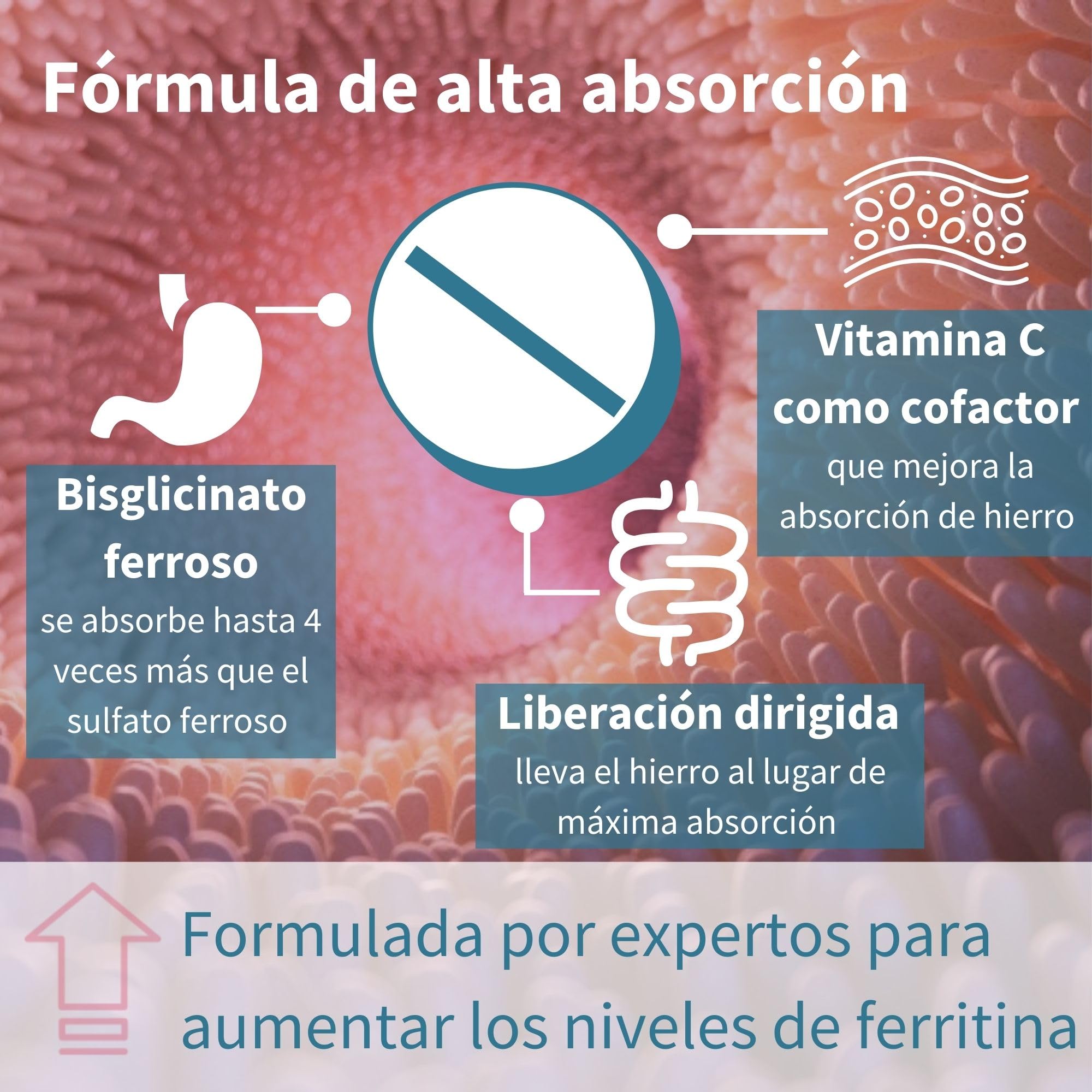 Igennus Bisglicinato de Hierro Quelado 20 mg con Vitamina C, 180 Comprimidos, Suministro para 6 Meses, Fórmula Limpia, Suave y de Liberación Controlada, uno al día, para Hombres y Mujeres, Vegano