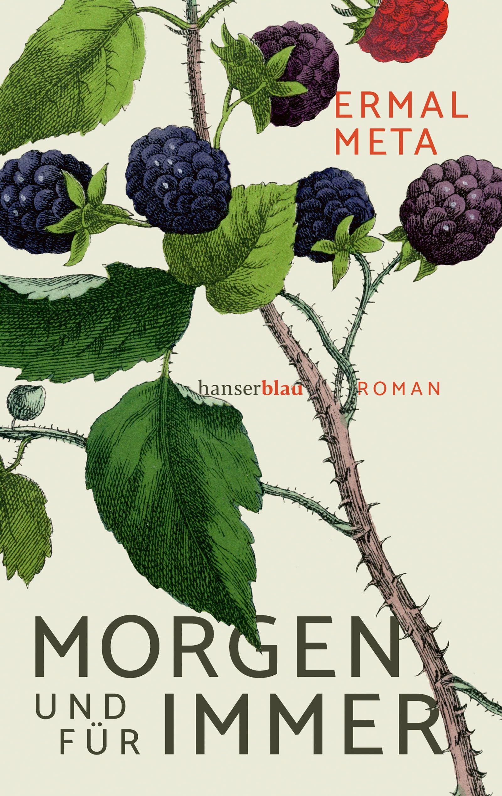 Morgen und für immer: Roman